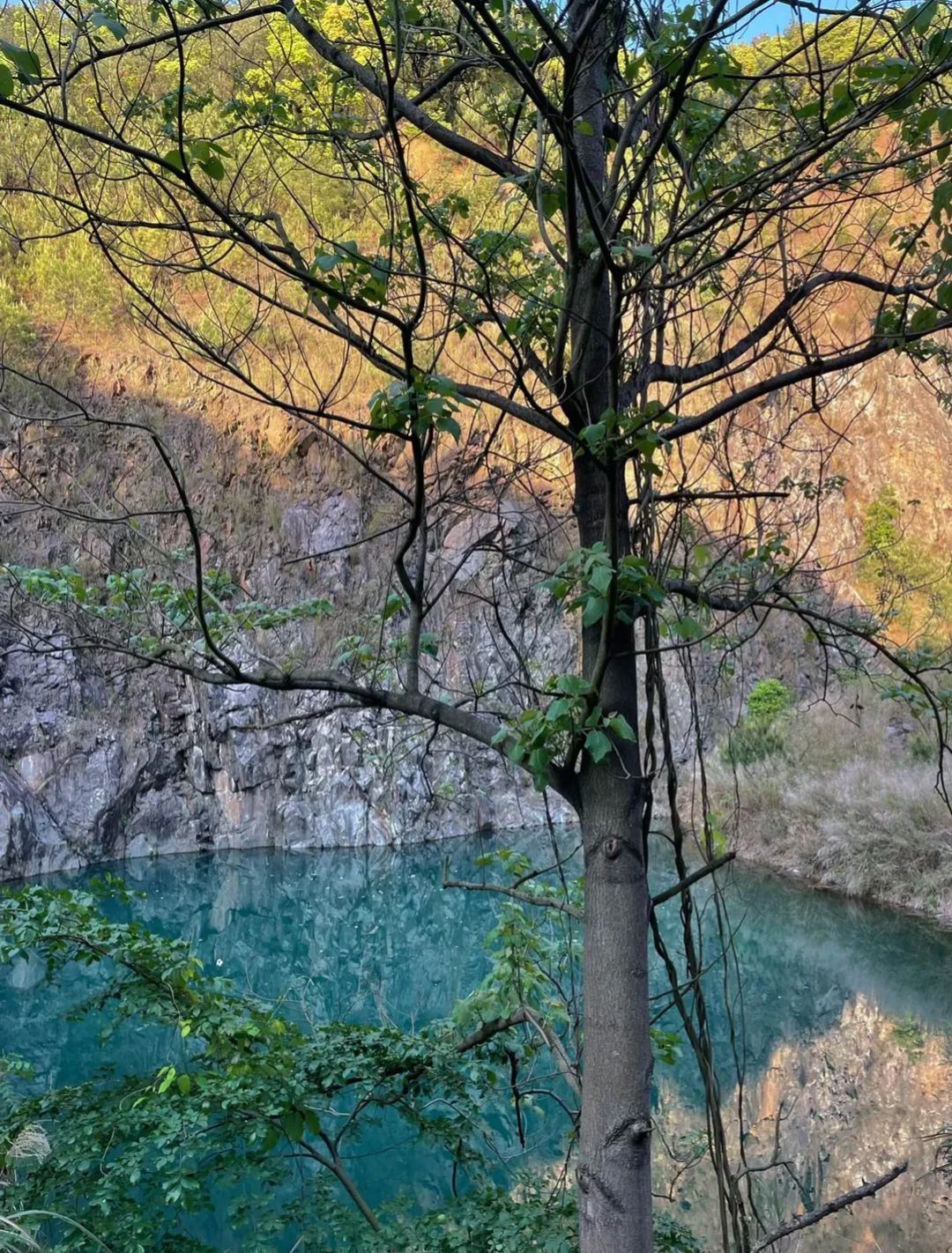 魅力湖旅行图片 2