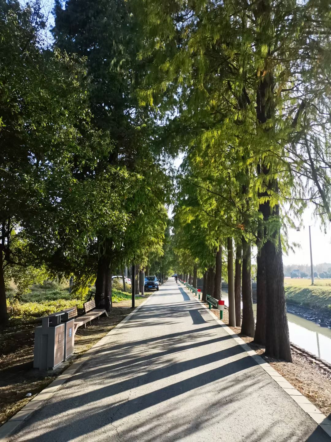 米市渡松南郊野公园旅行图片 3