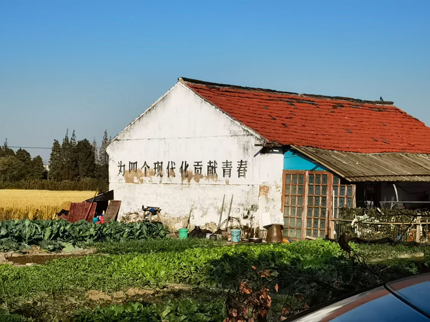 米市渡松南郊野公园旅行图片 2