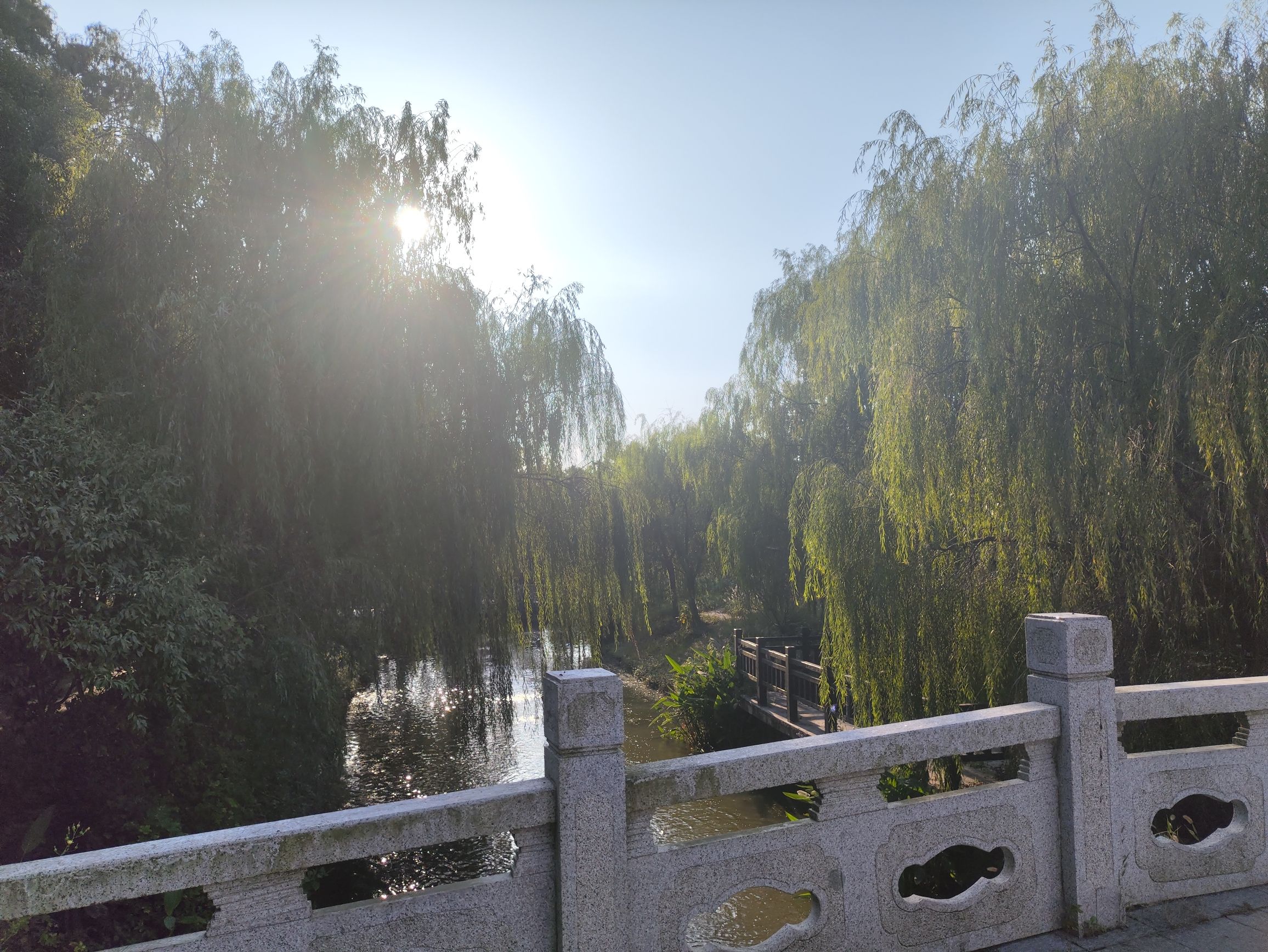 花海优胜主题公园旅行图片 3
