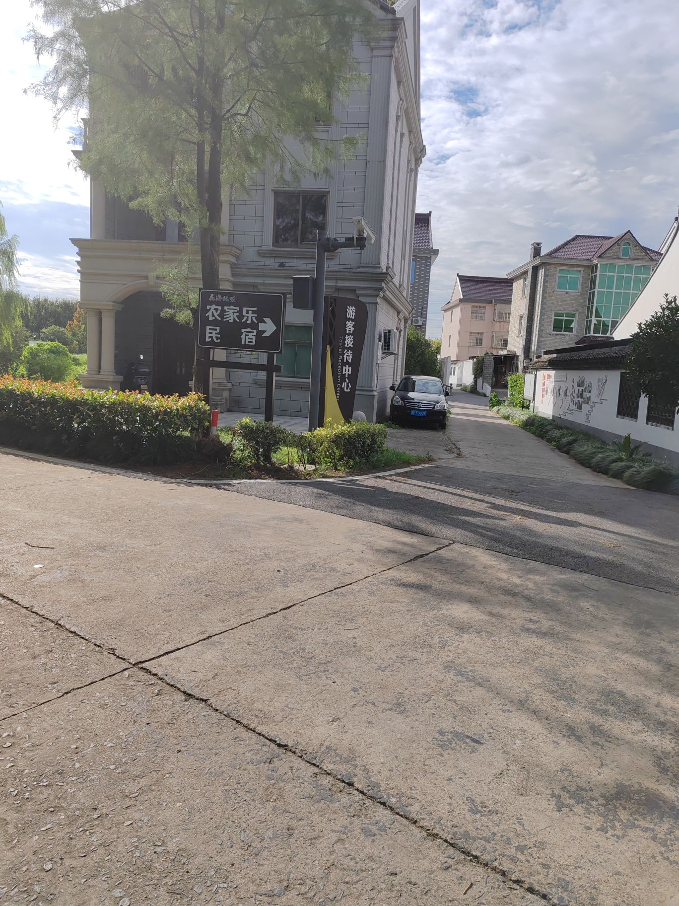 花海优胜主题公园旅行图片 2