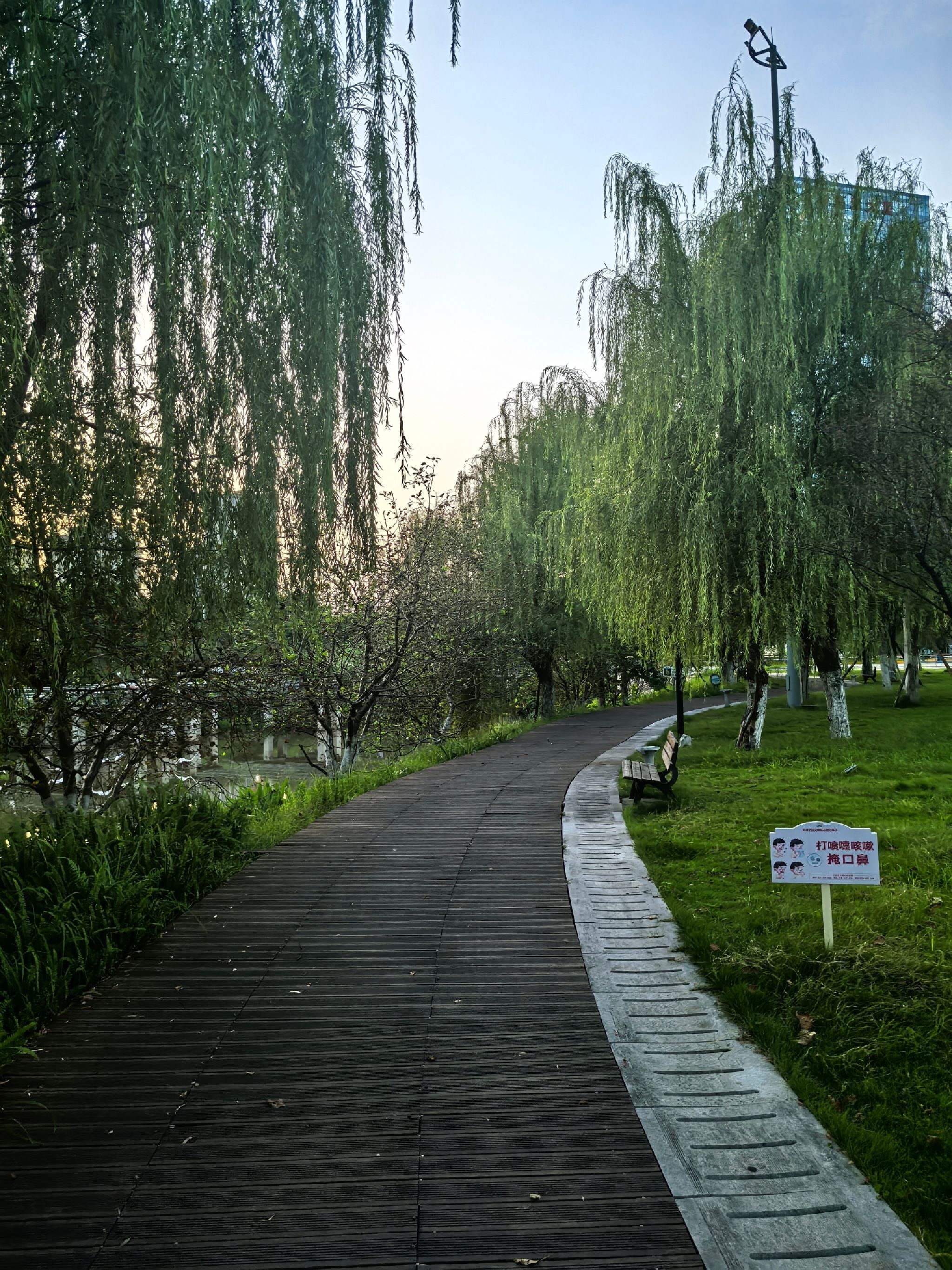 千水湖公园旅行图片 1
