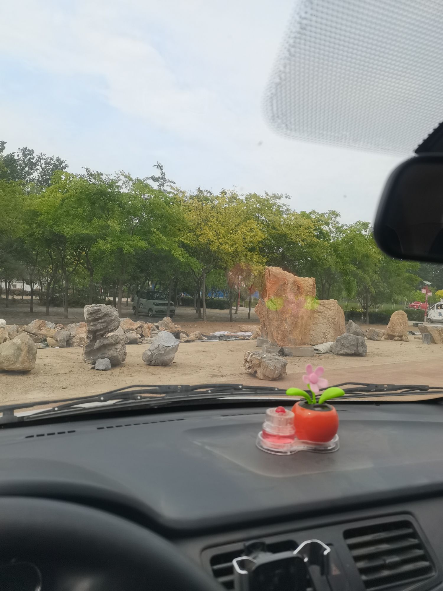华佗牡丹园旅行图片 1