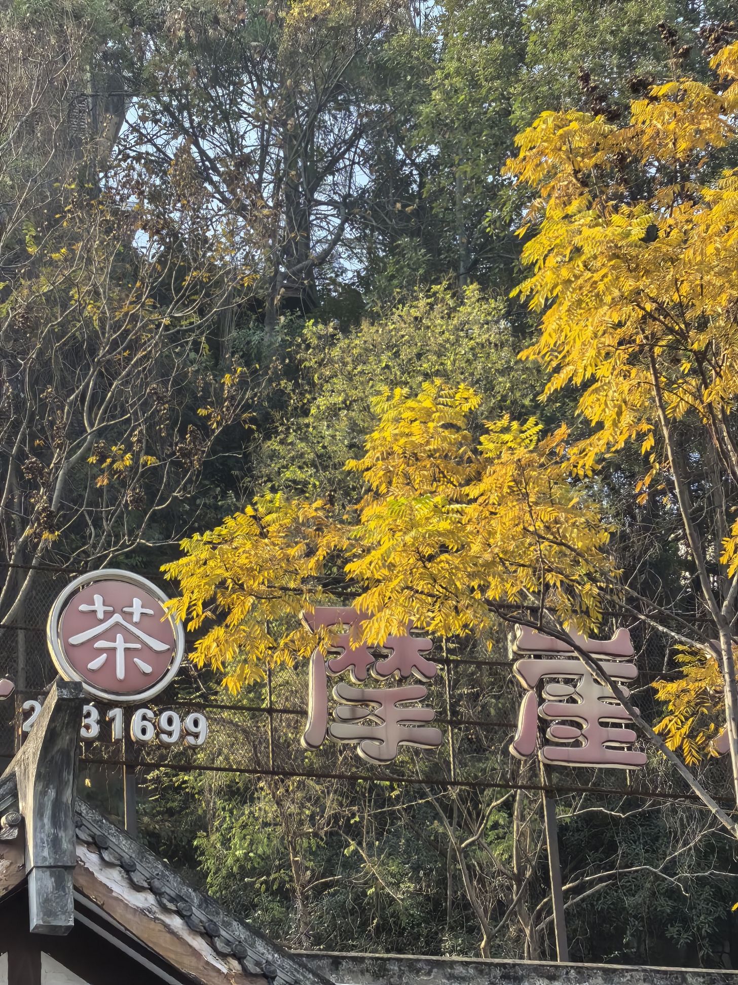 翔龙山石刻旅行图片 2