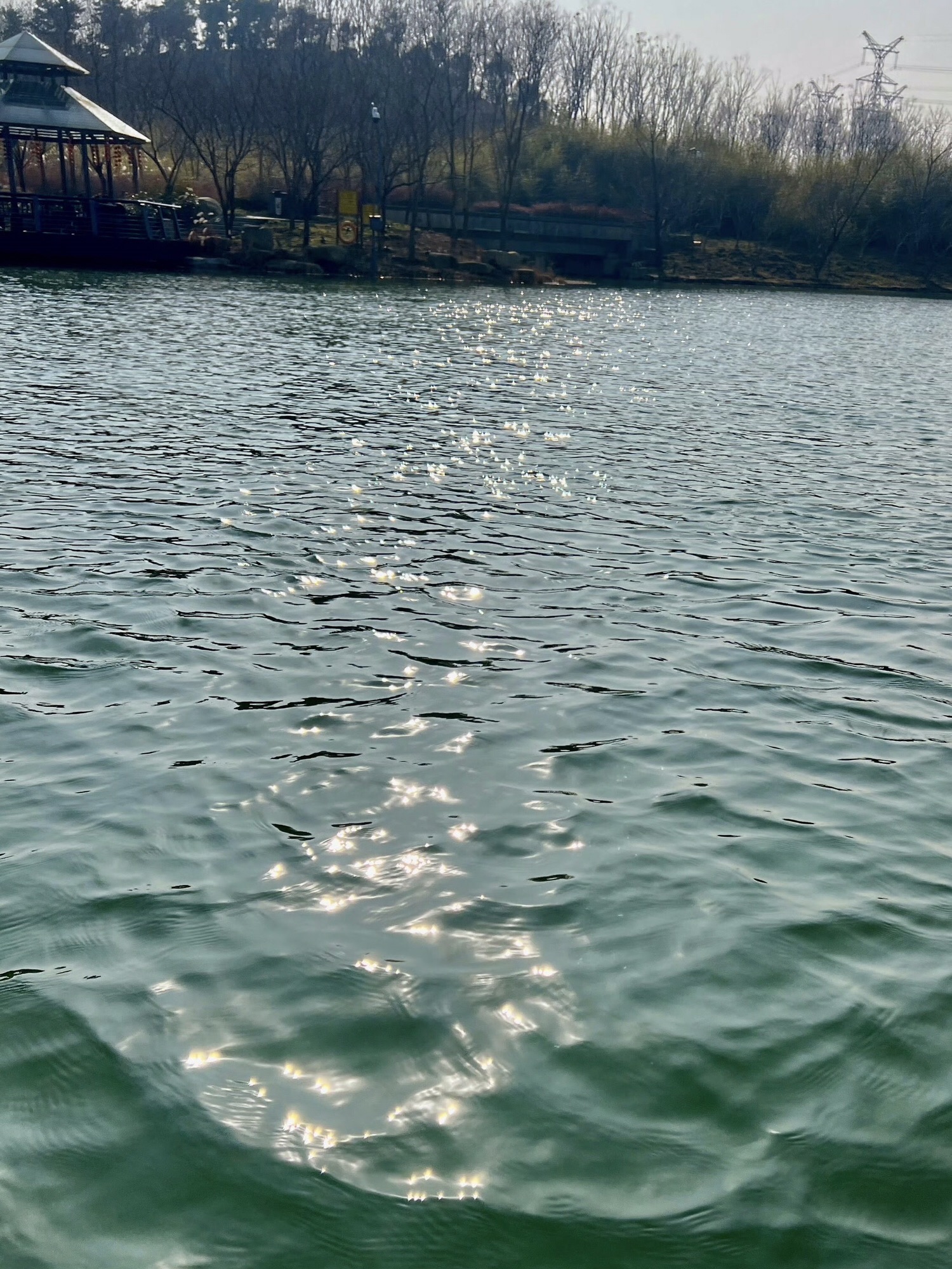 黄泗浦生态公园旅行图片 2