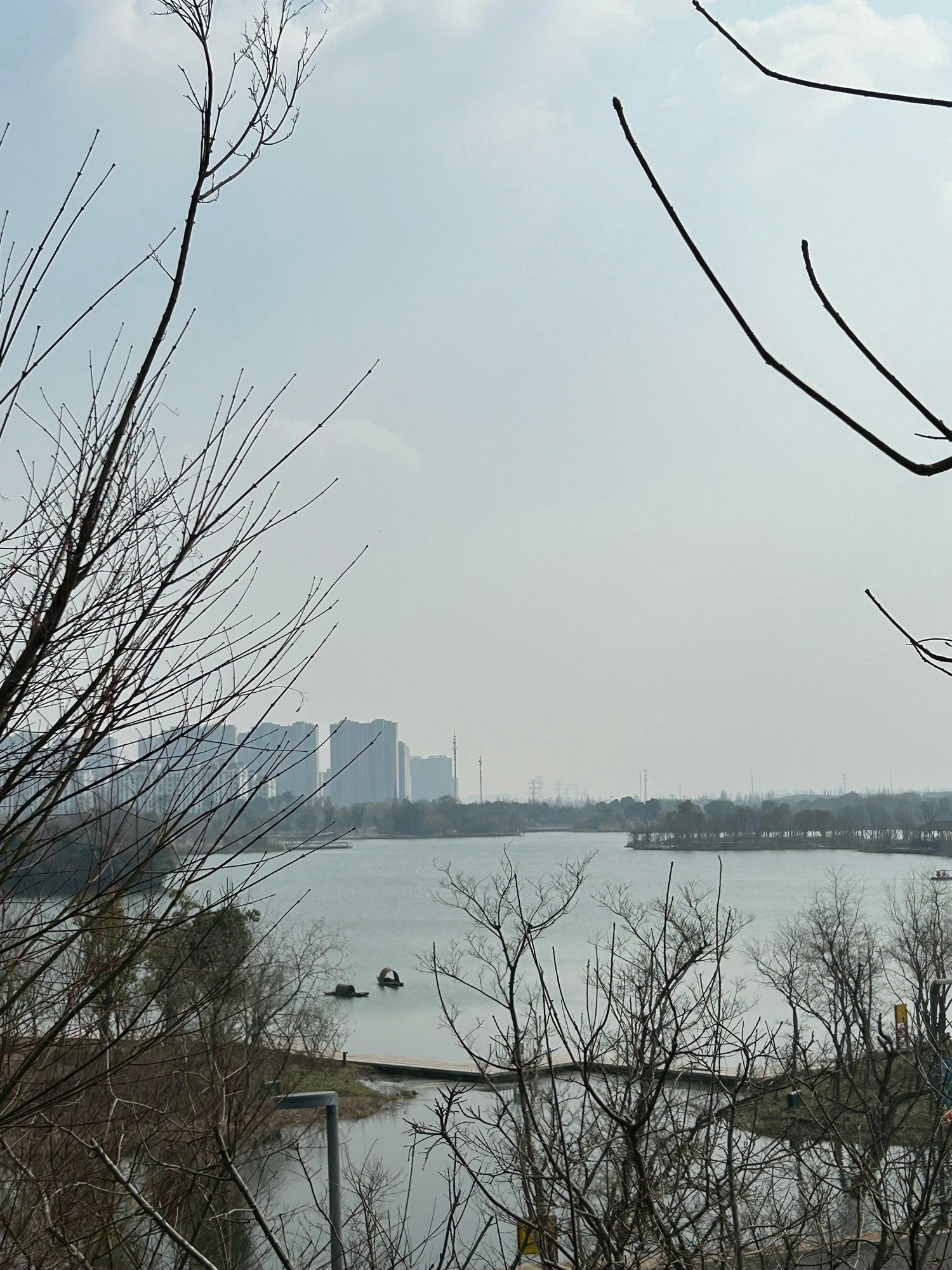 黄泗浦生态公园旅行图片 3