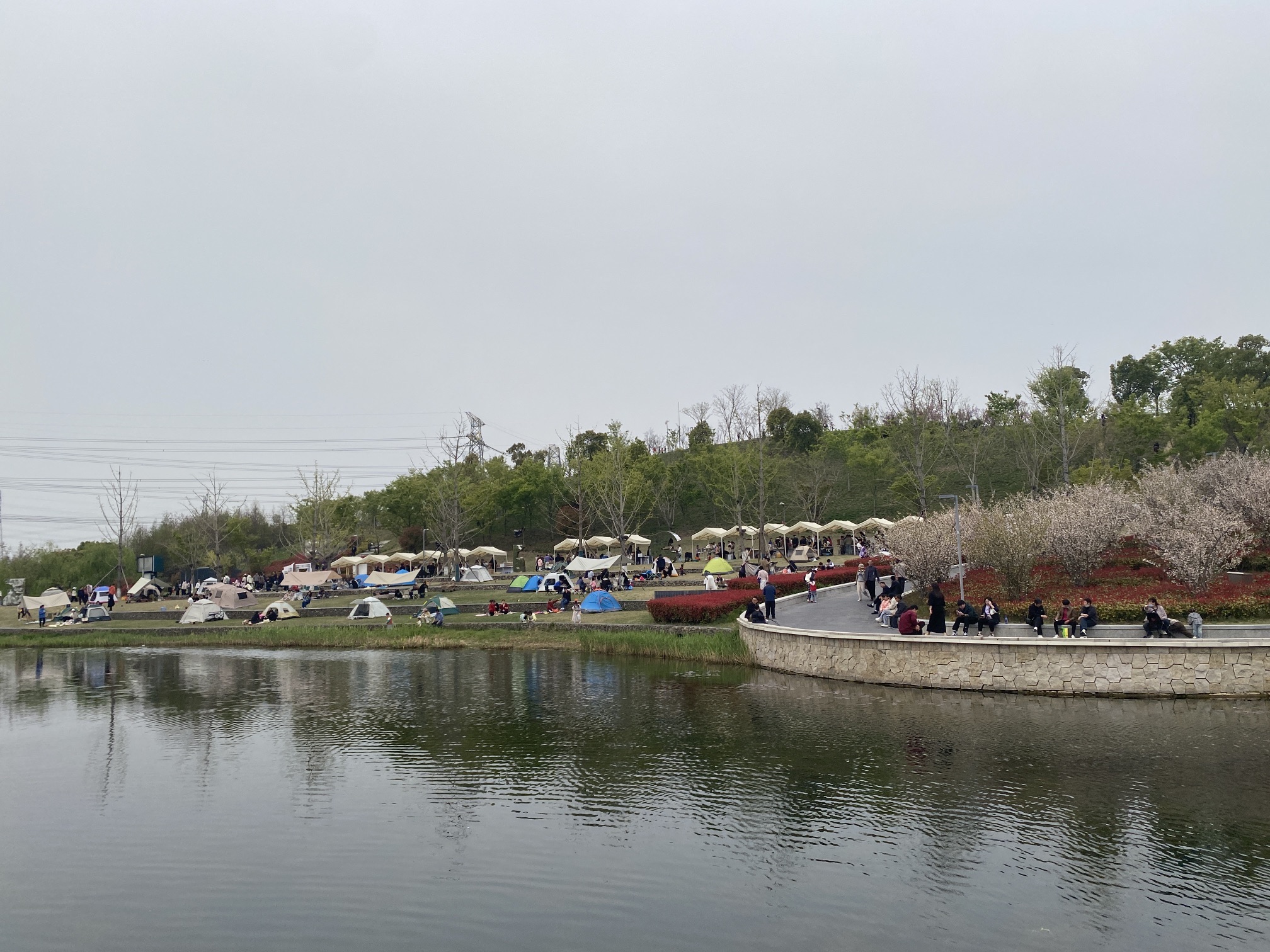 黄泗浦生态公园旅行图片 1