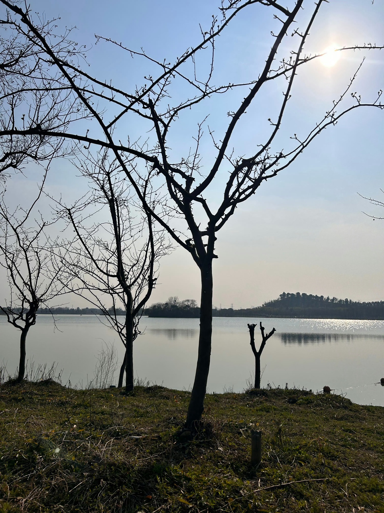 黄泗浦生态公园旅行图片 2