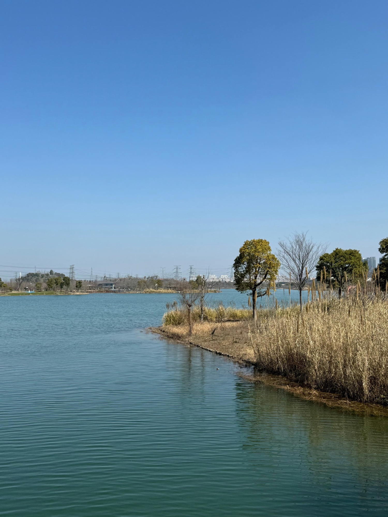 黄泗浦生态公园旅行图片 1