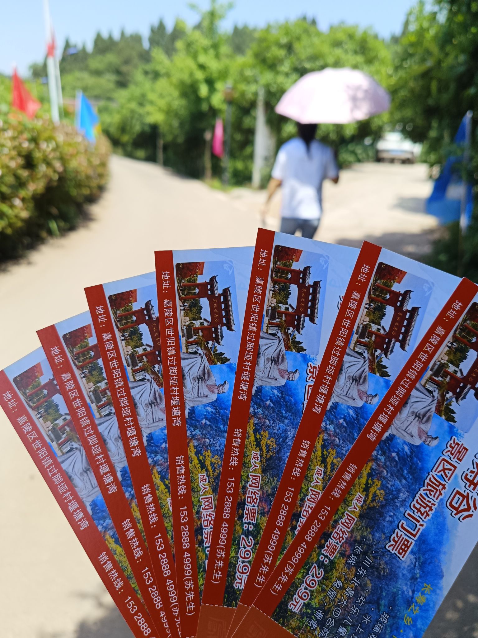 长寿谷旅行图片 2