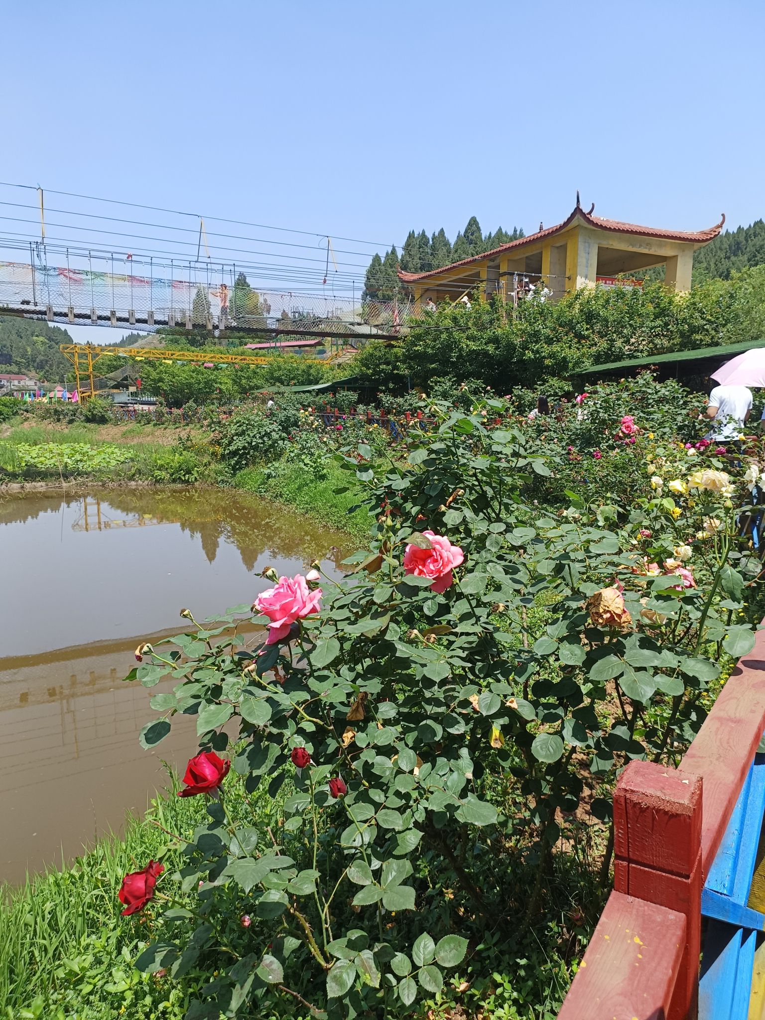 长寿谷旅行图片 3