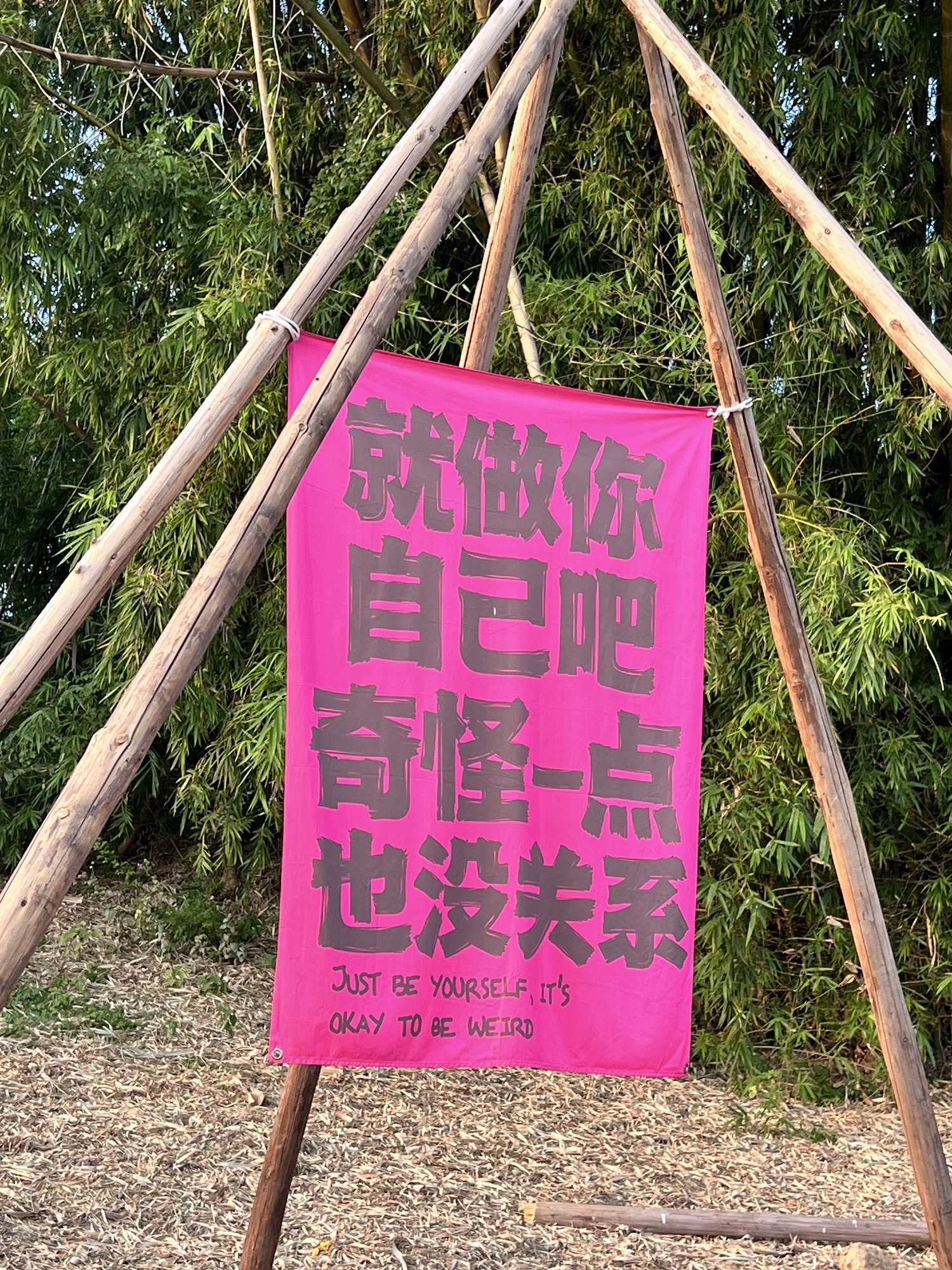 美丽南方旅行图片 1