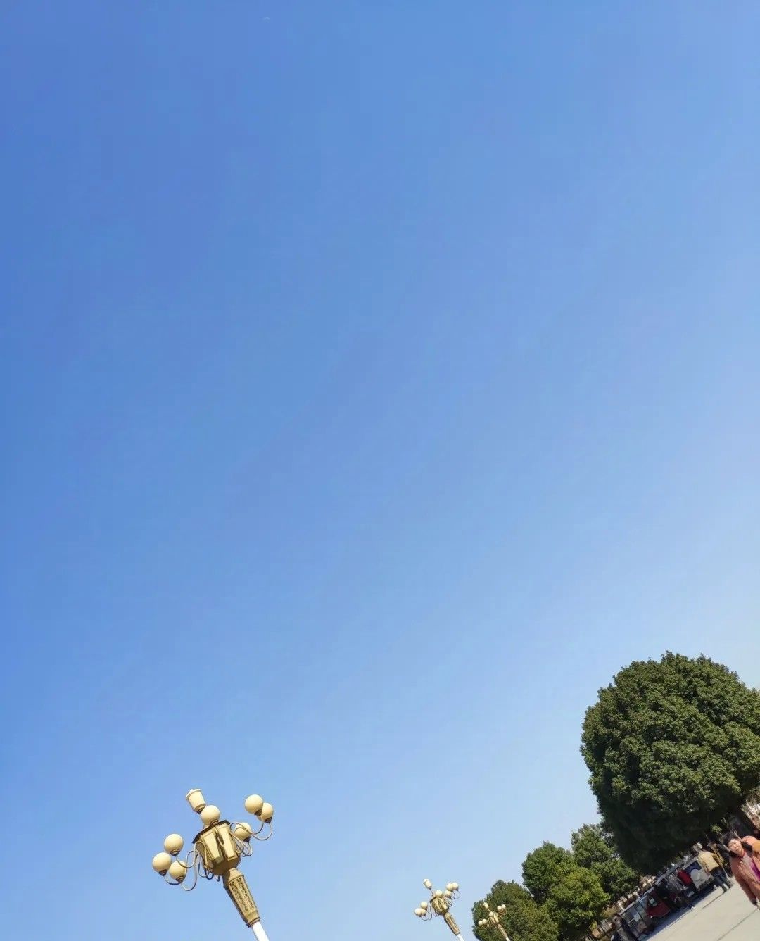 极限公园旅行图片 1