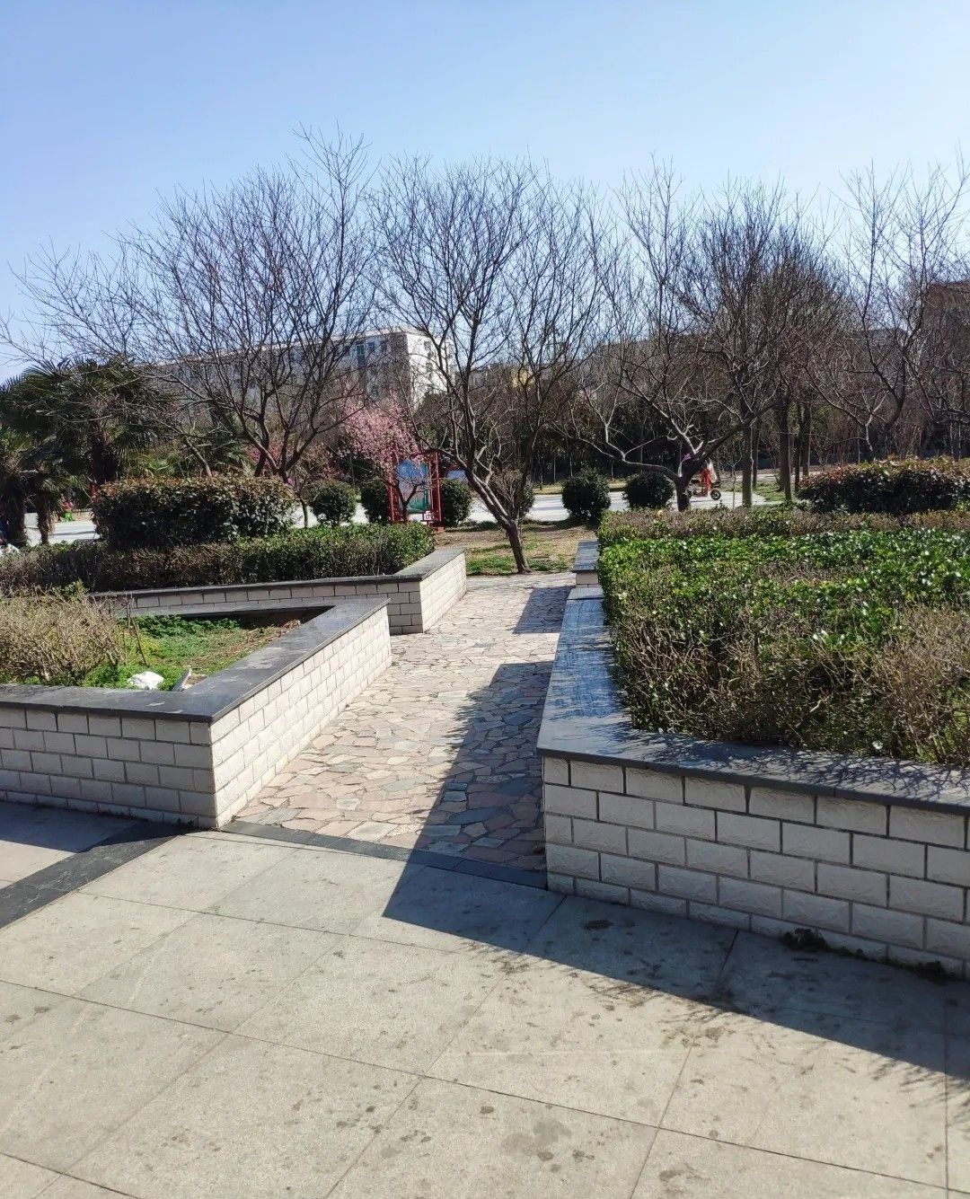 极限公园旅行图片 2