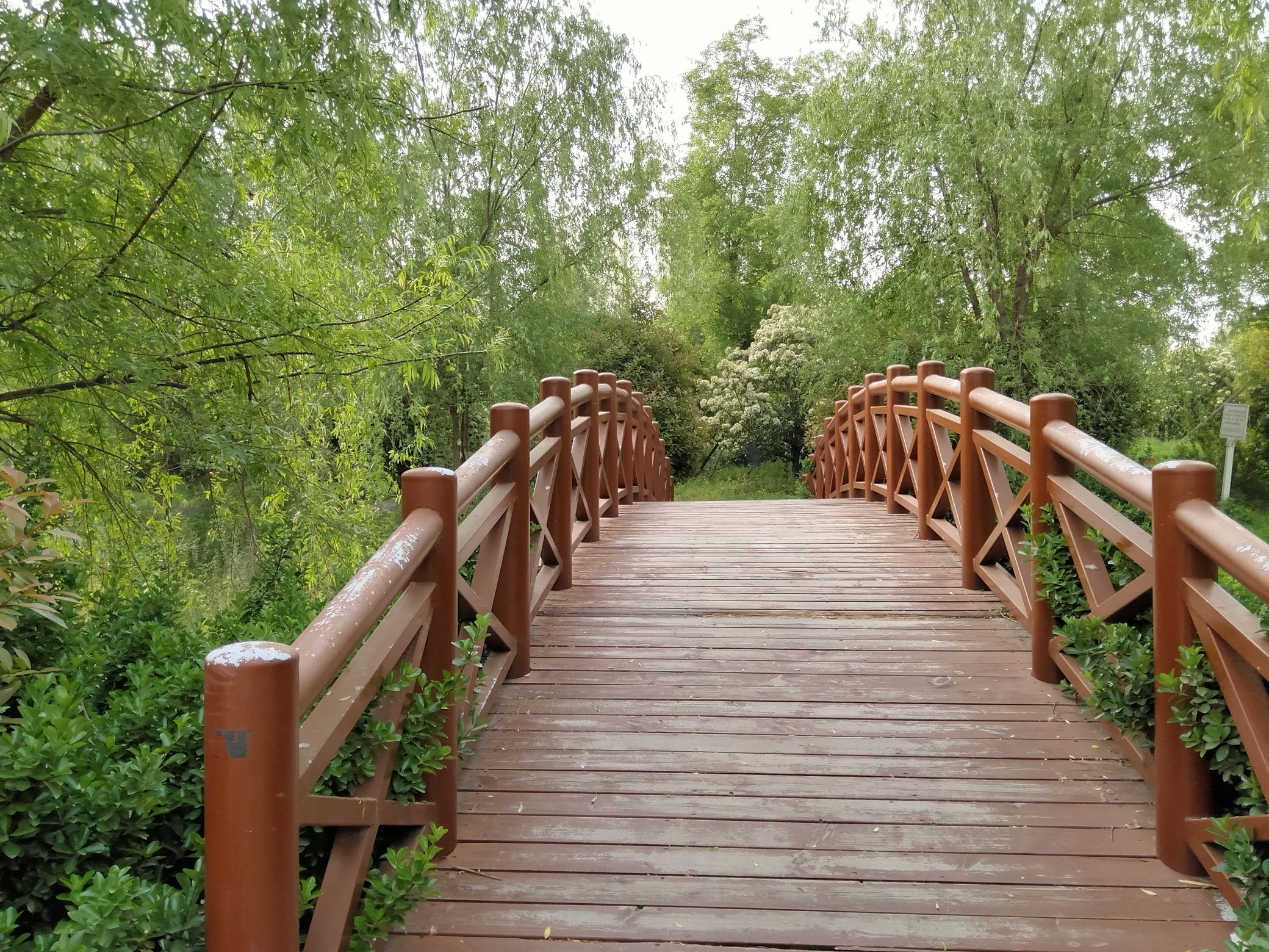 极限公园旅行图片 3