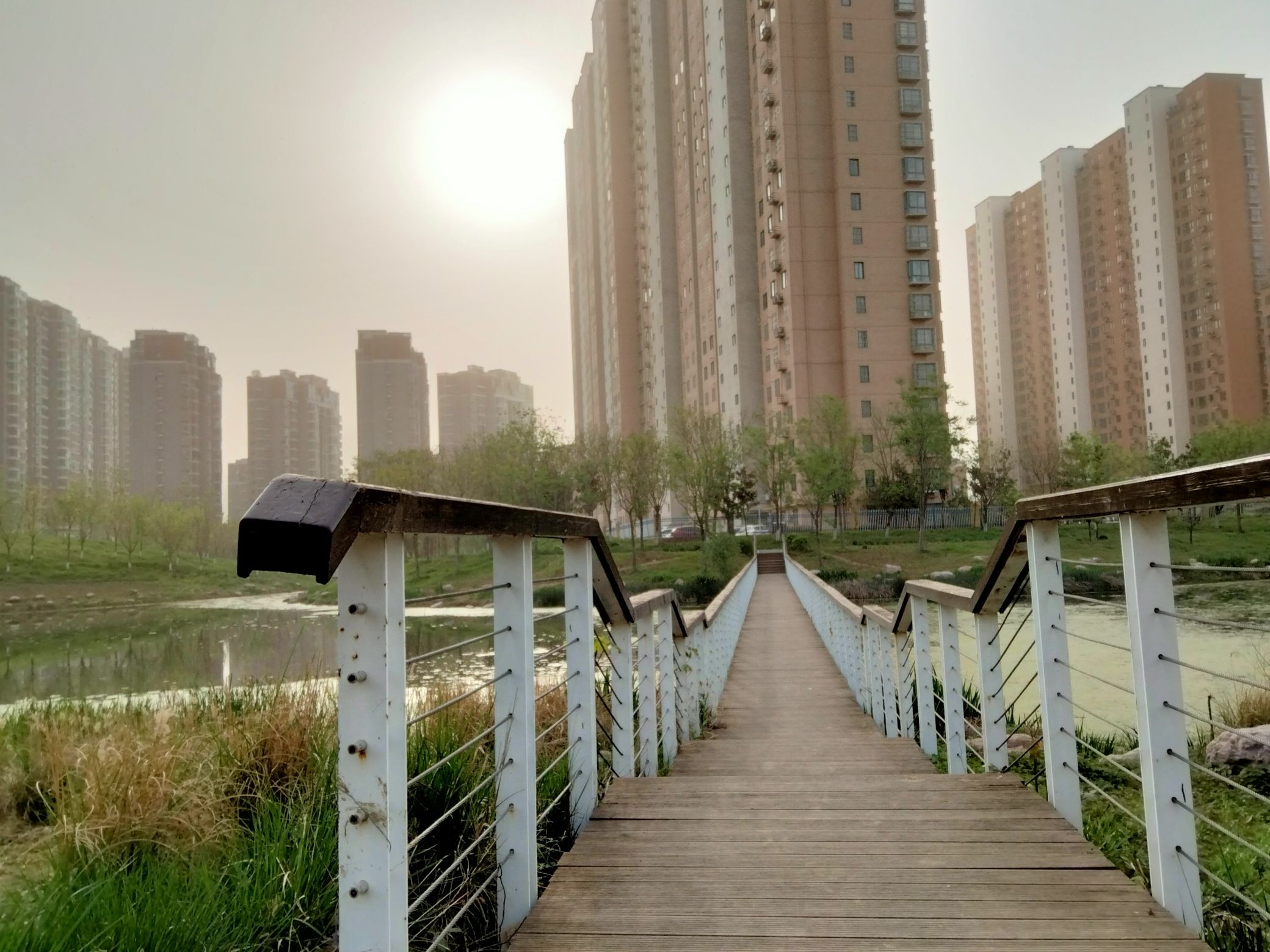 极限公园
