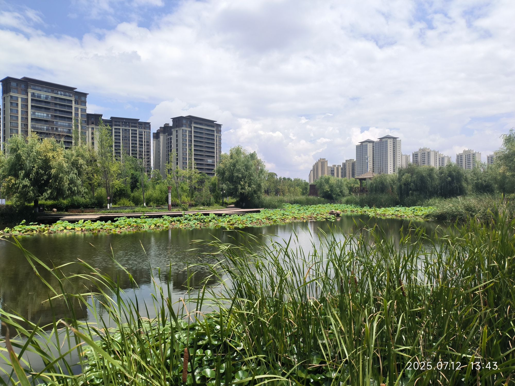 西河湿地公园