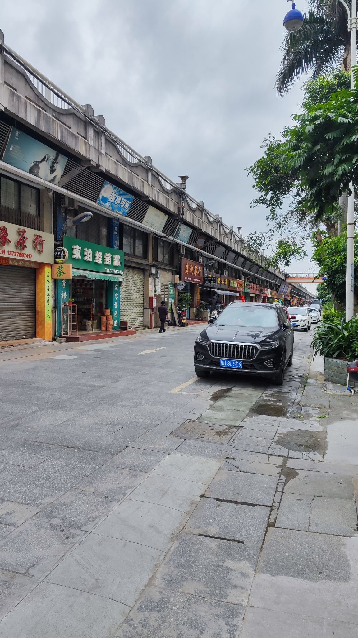 梧州丽港广场旅行图片 3