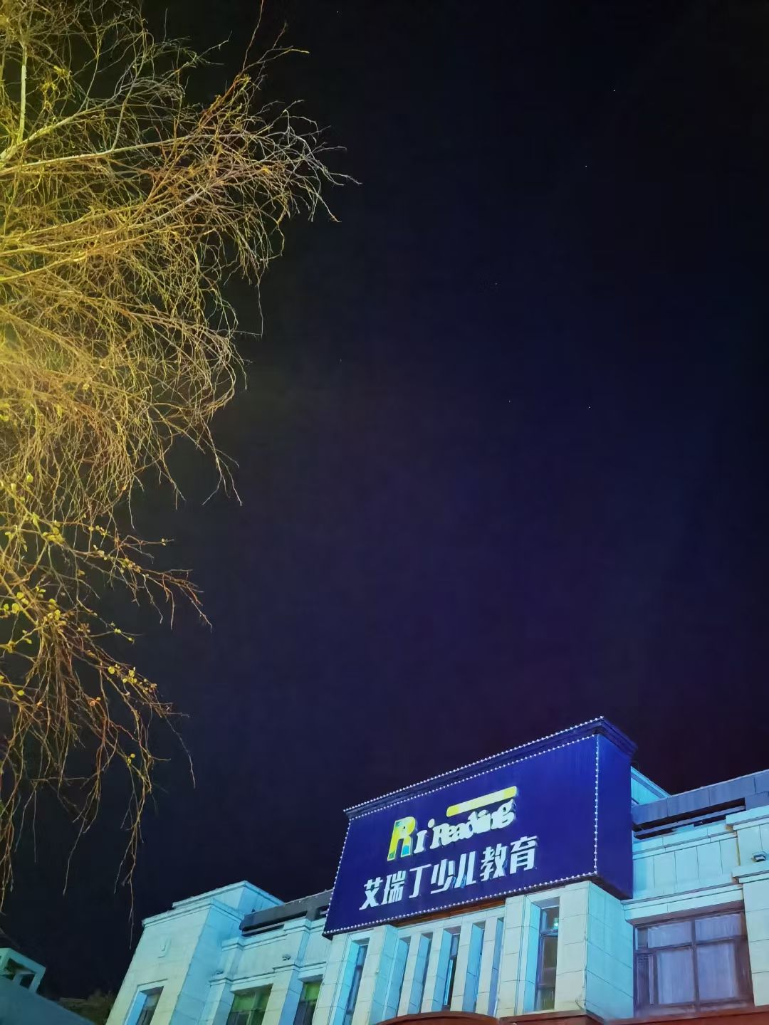 艾瑞丁少儿教育