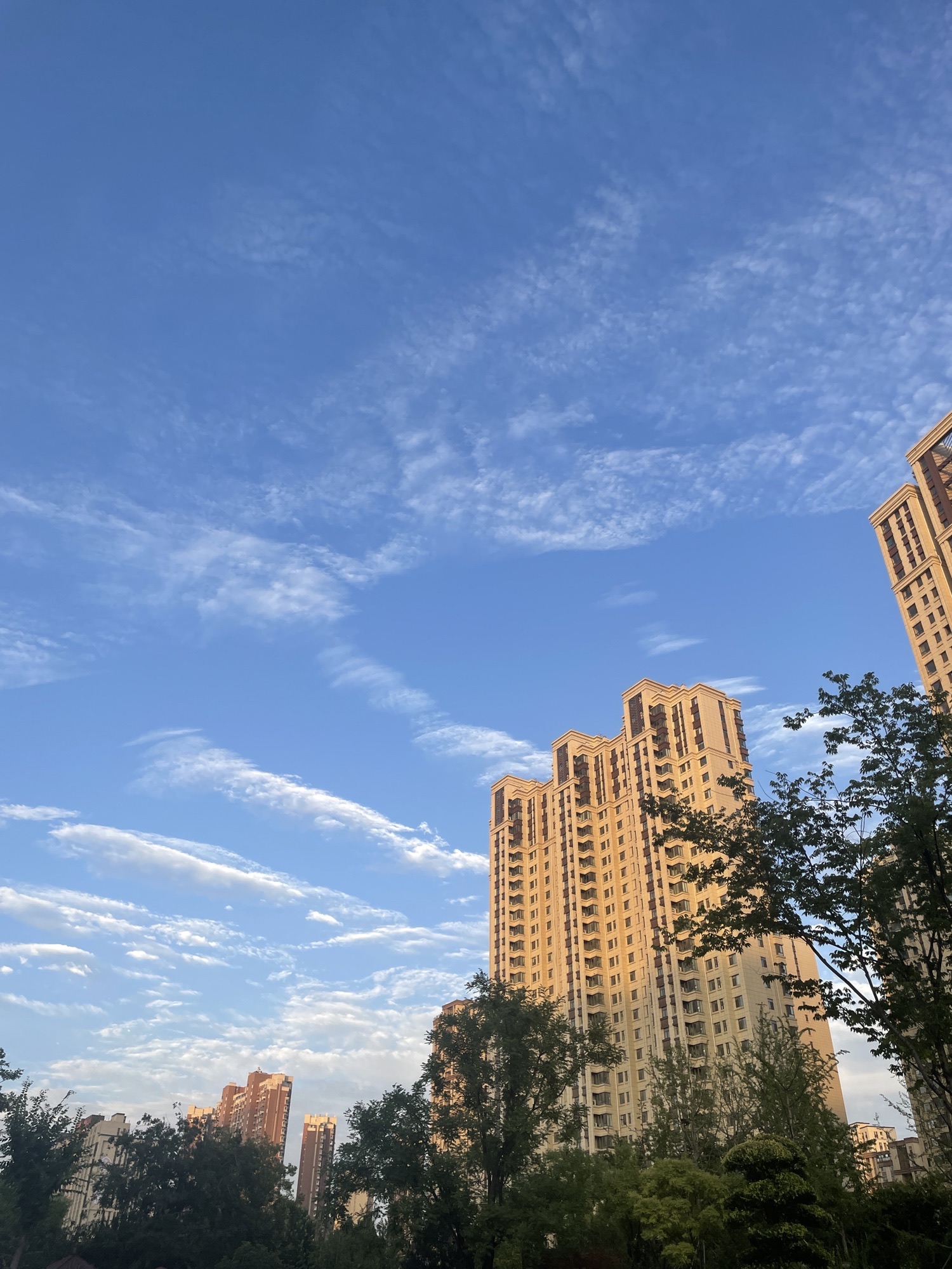 凤栖公园旅行图片 2