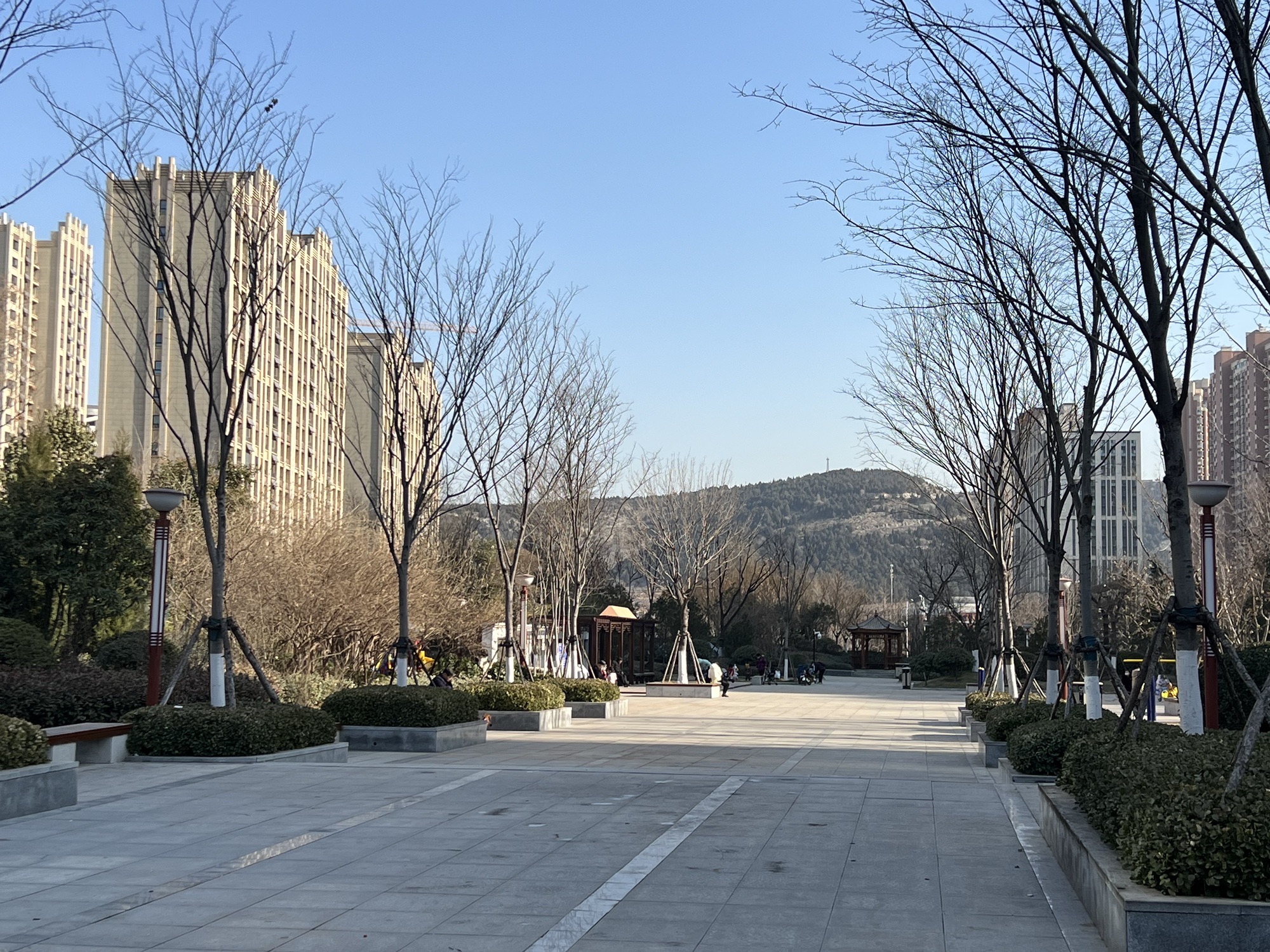 凤栖公园旅行图片 3