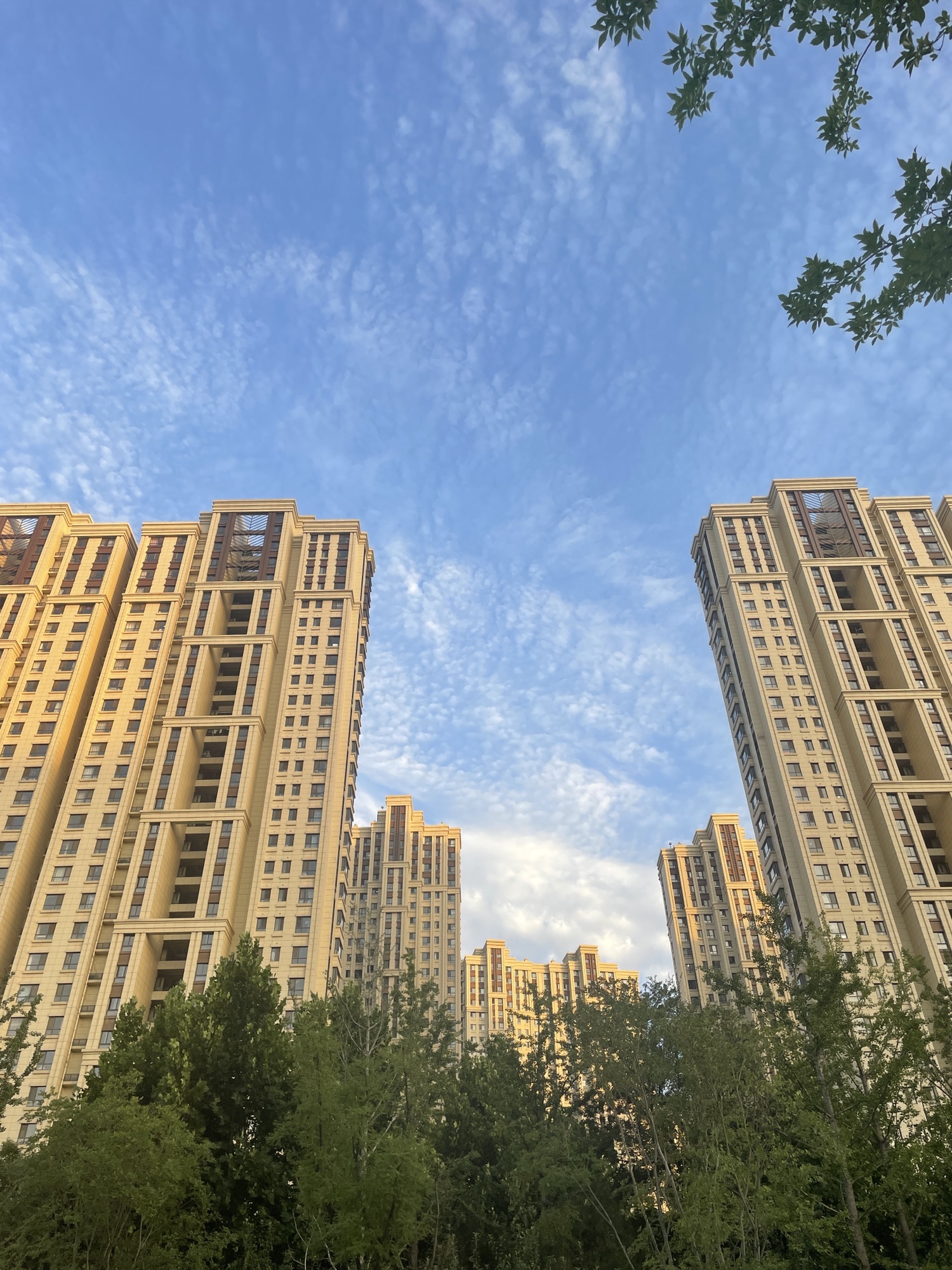 凤栖公园旅行图片 1