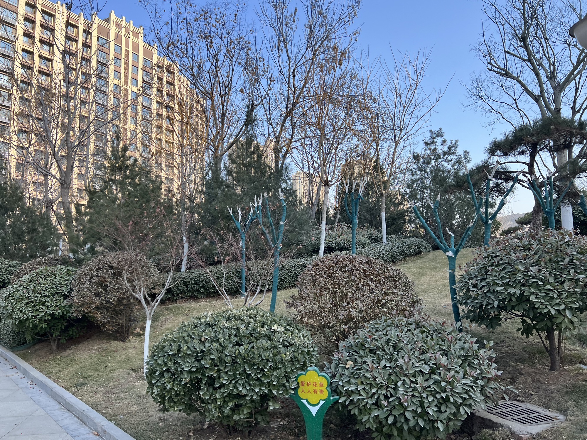 凤栖公园旅行图片 2