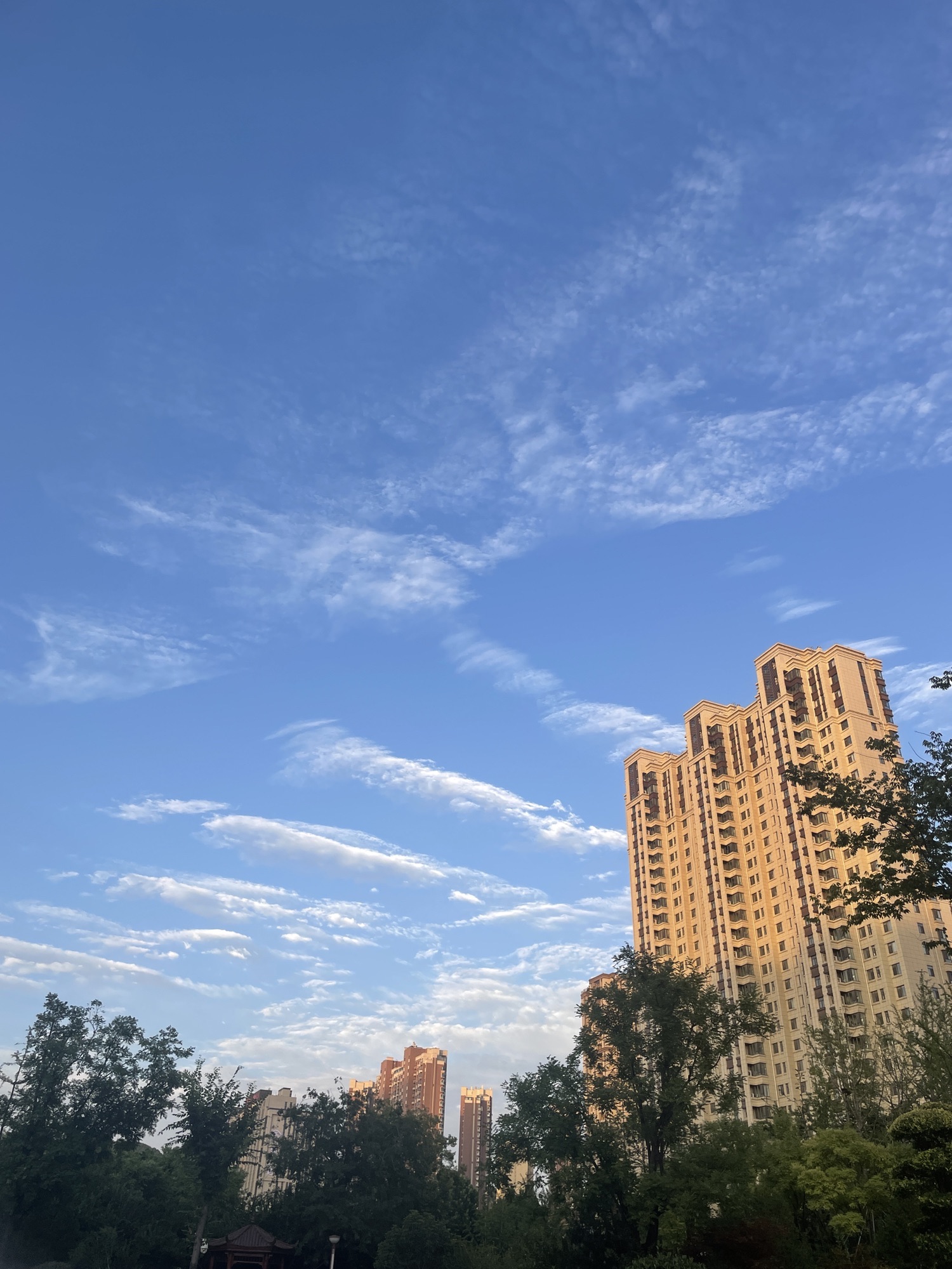 凤栖公园旅行图片 3