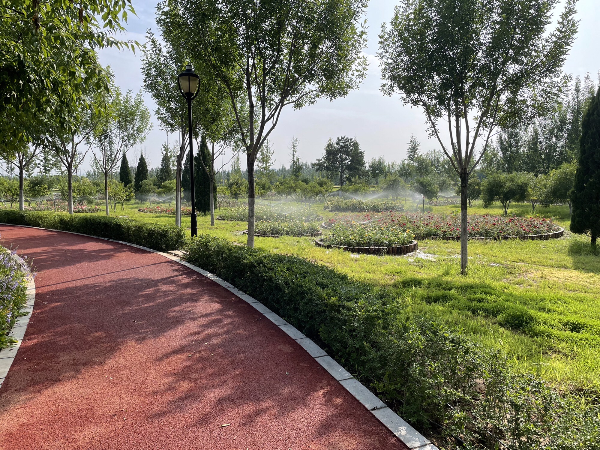 牤牛河湿地公园旅行图片 2