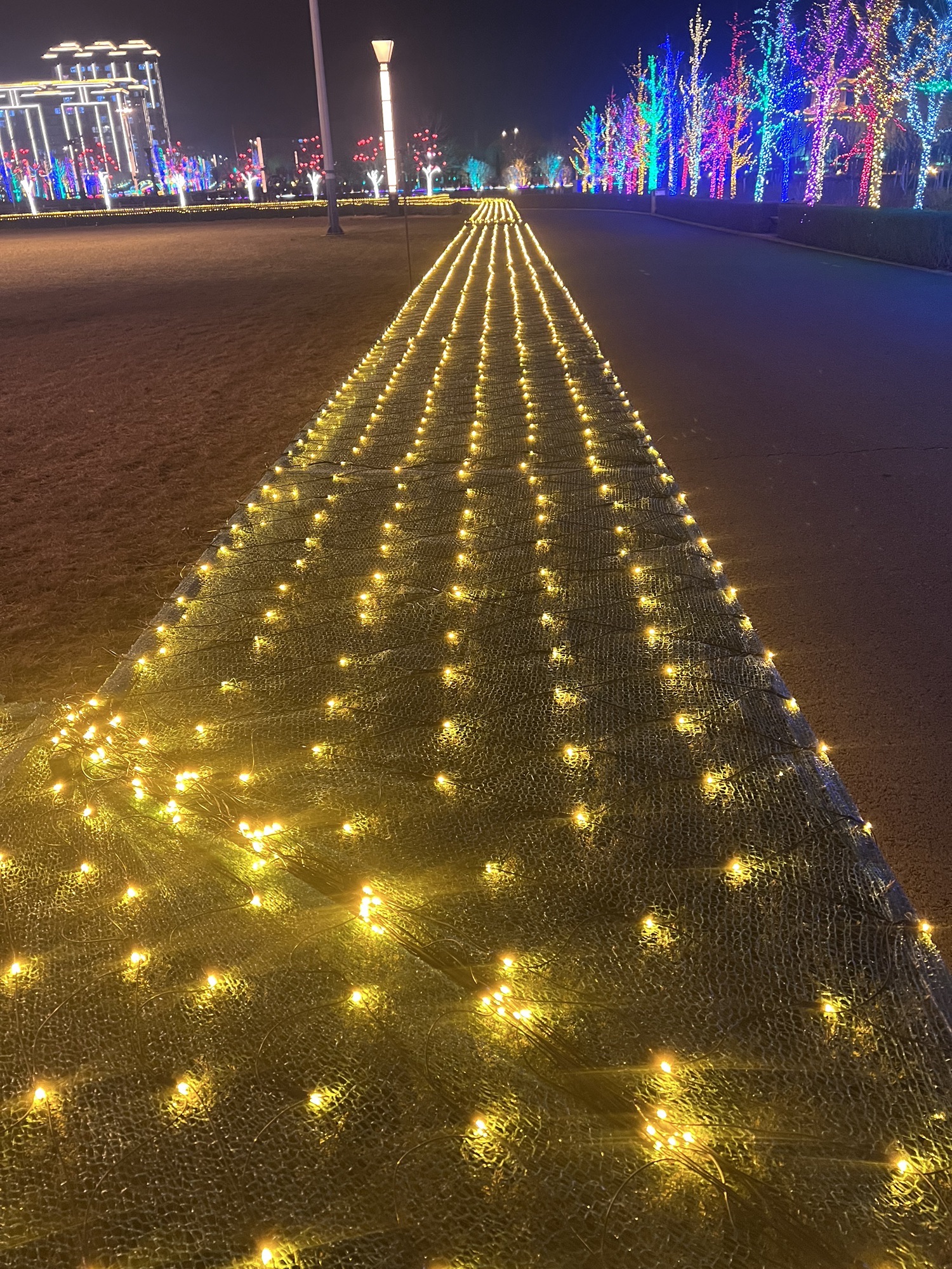 牤牛河湿地公园旅行图片 2