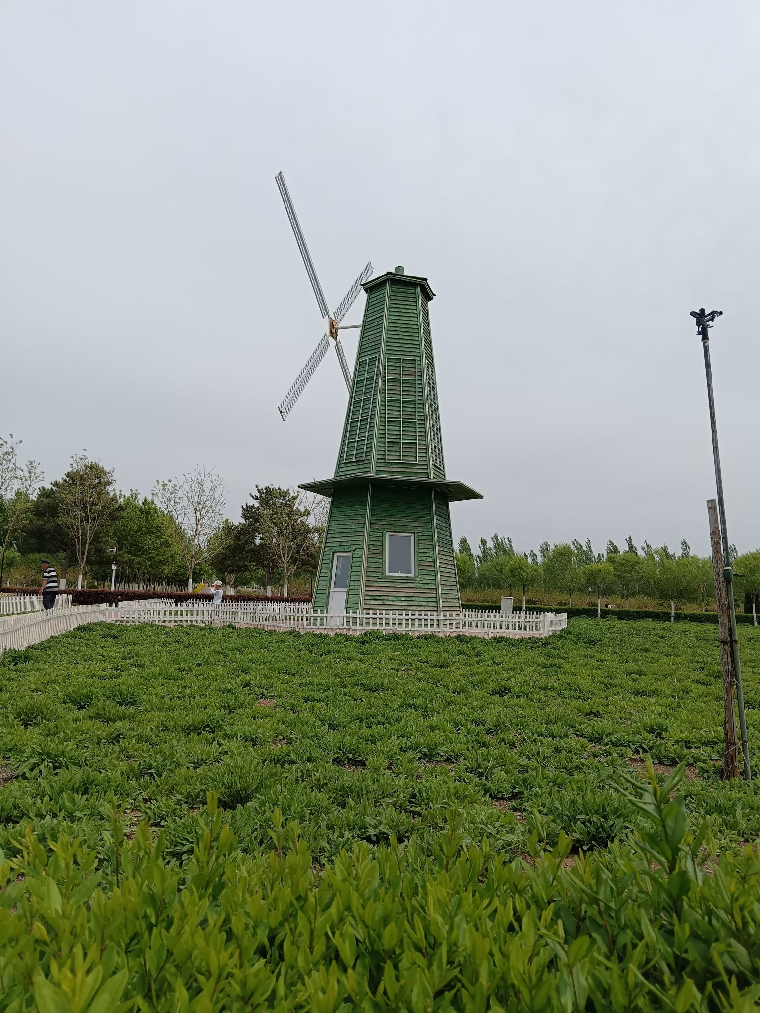 牤牛河湿地公园旅行图片 3