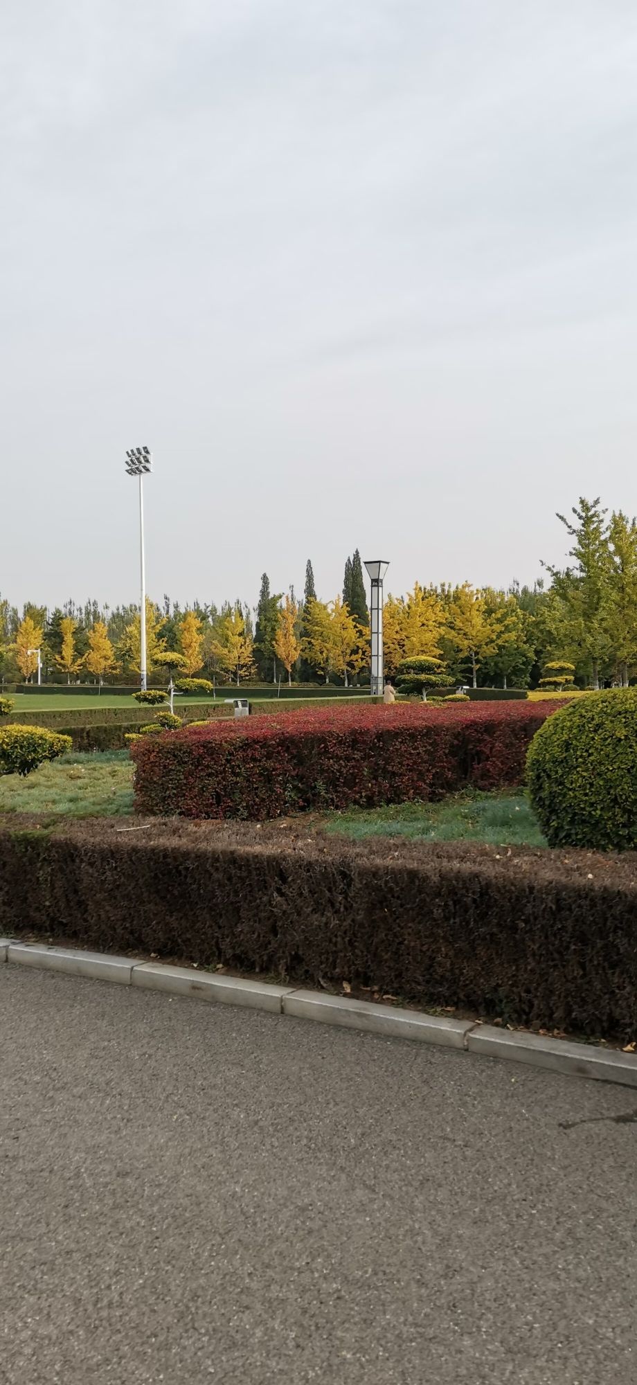 牤牛河湿地公园旅行图片 2
