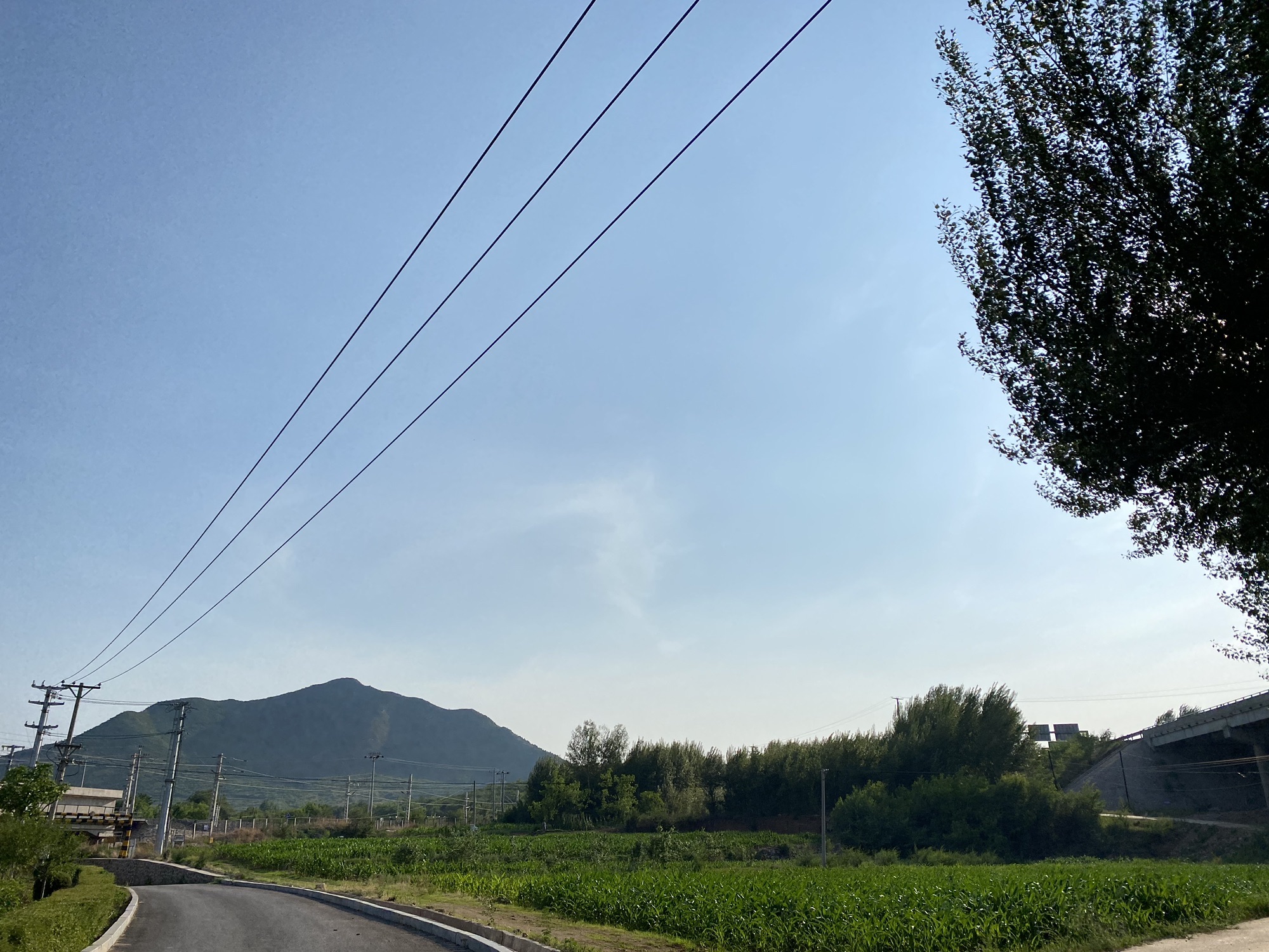 牤牛河湿地公园旅行图片 2