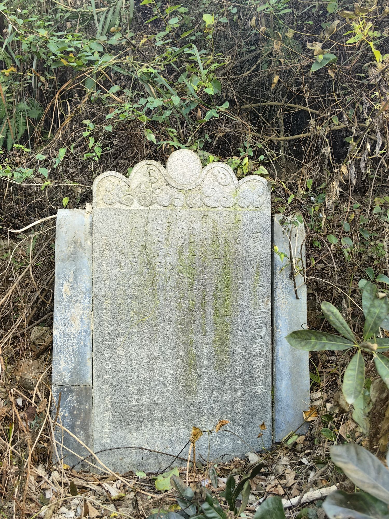 马南宝墓旅行图片 1