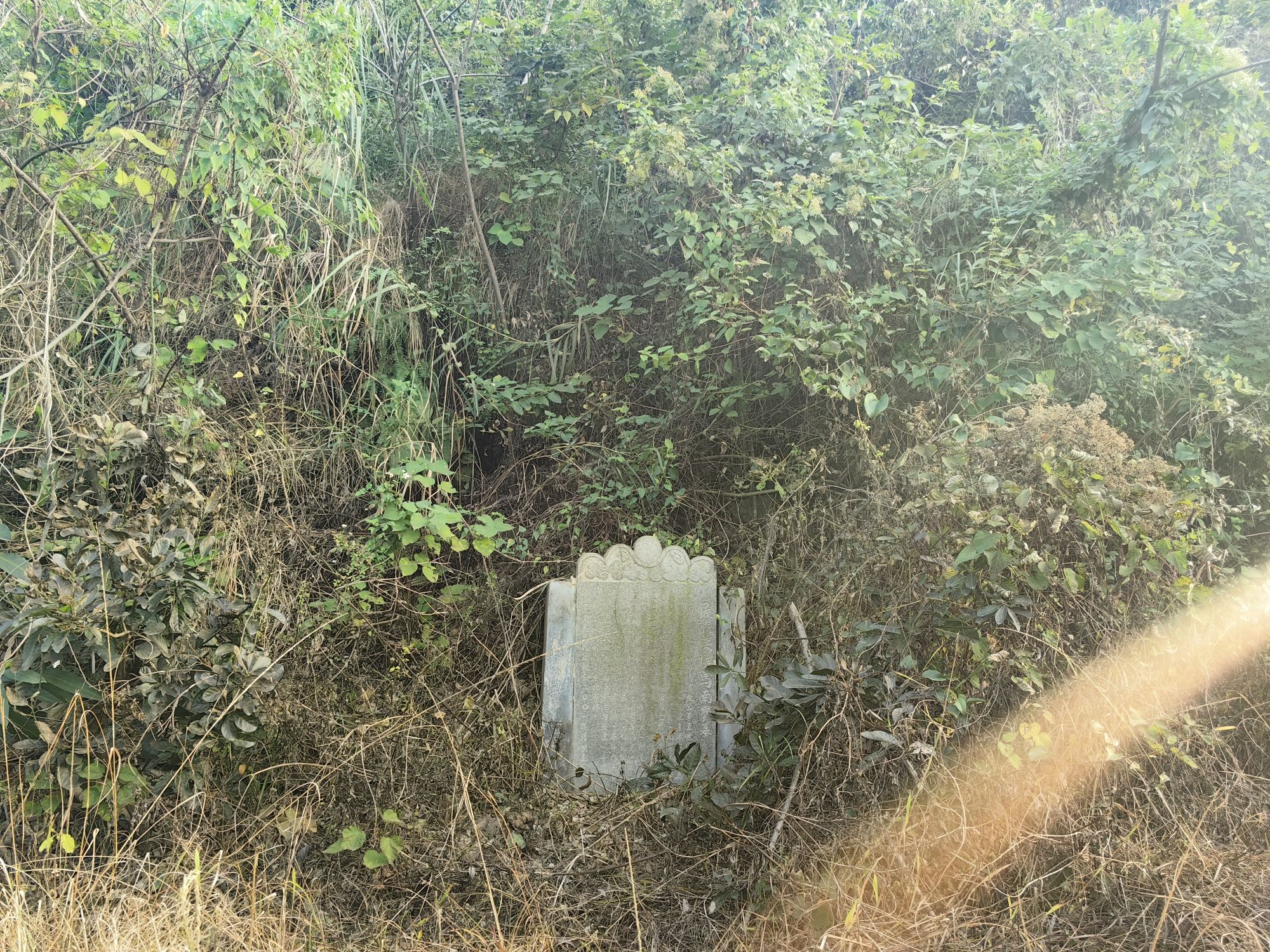 马南宝墓旅行图片 2