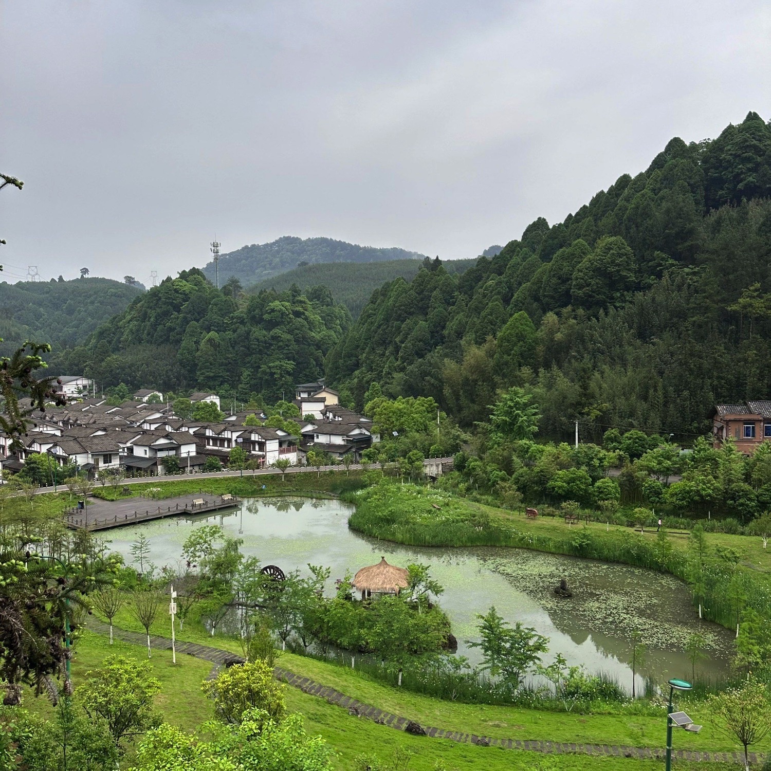 百里竹海风景名胜区旅行图片 1
