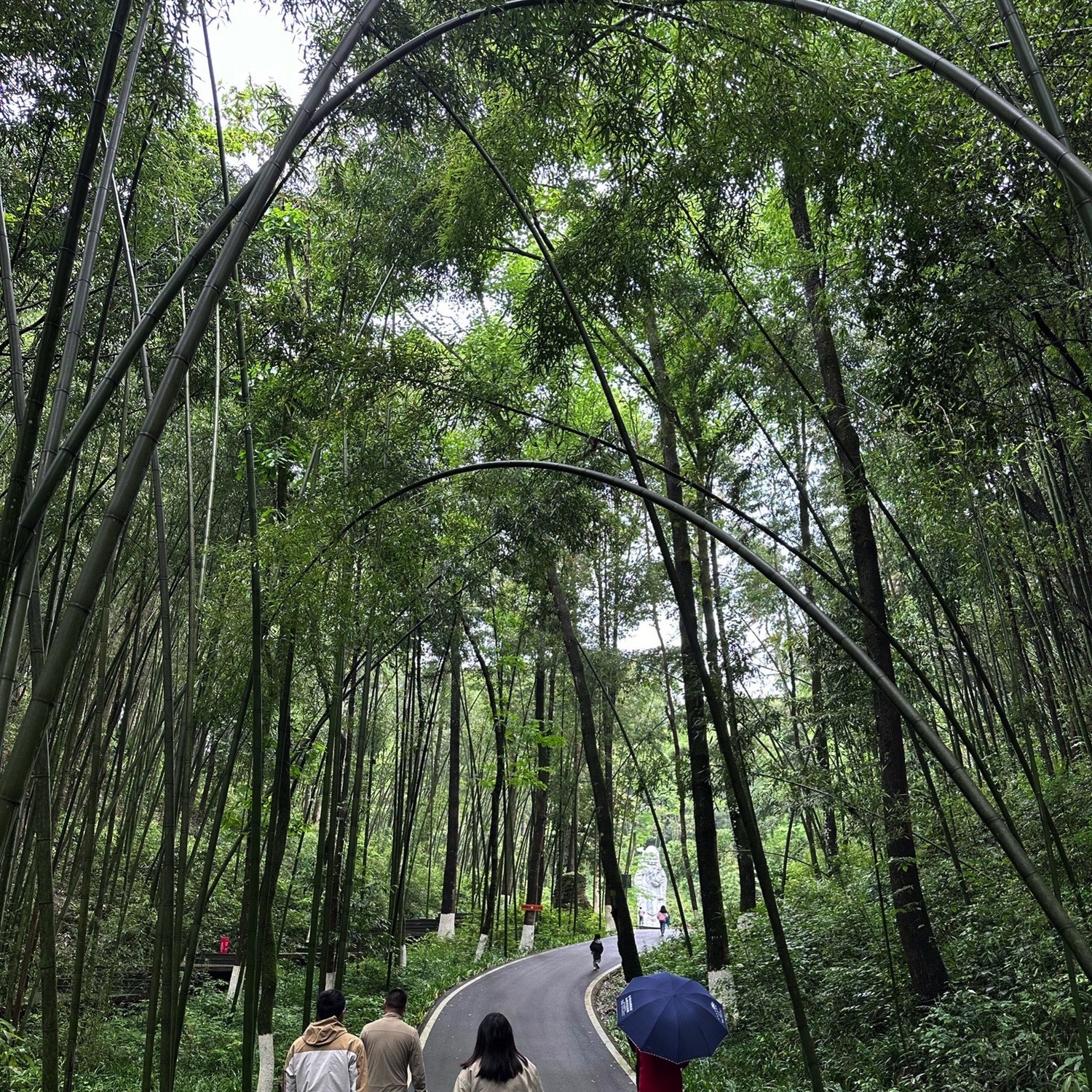 百里竹海风景名胜区旅行图片 2