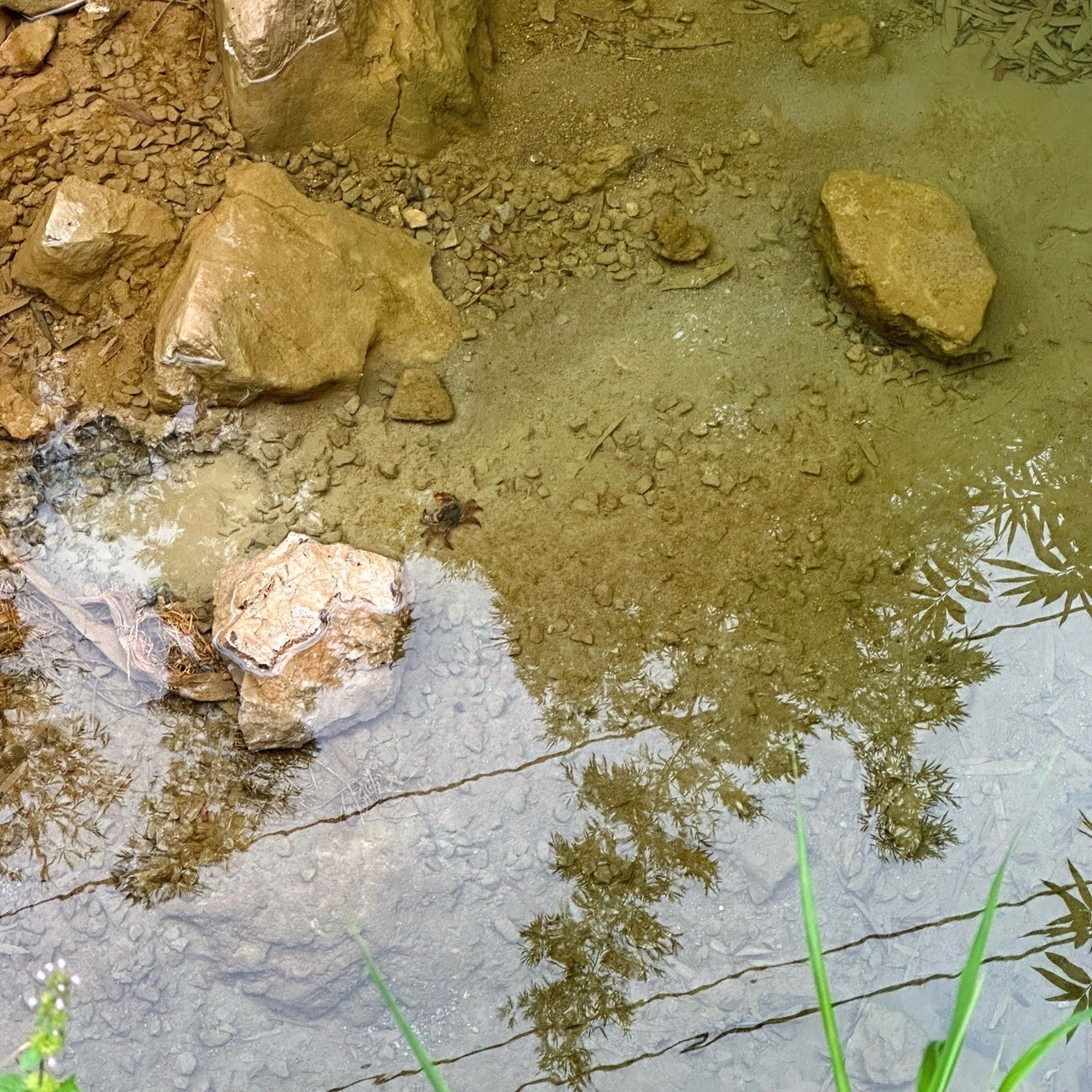 百里竹海风景名胜区旅行图片 3