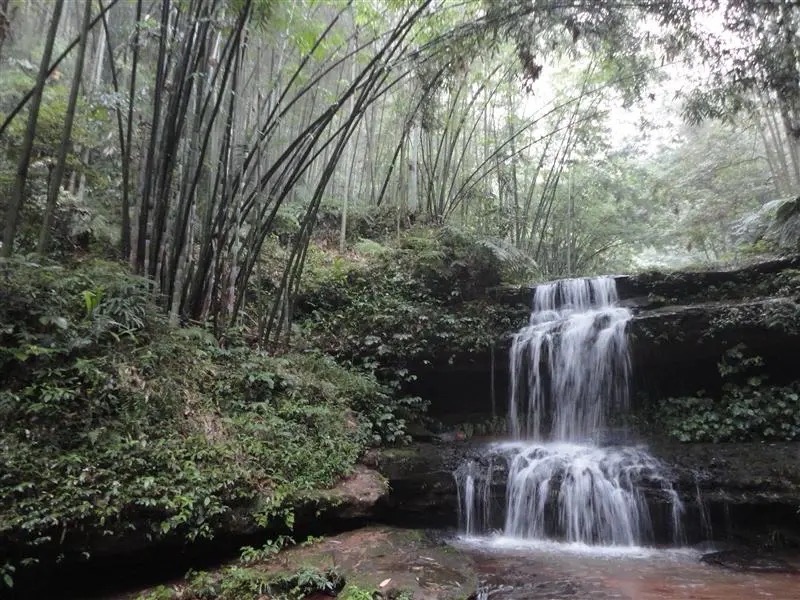 百里竹海风景名胜区旅行图片 3