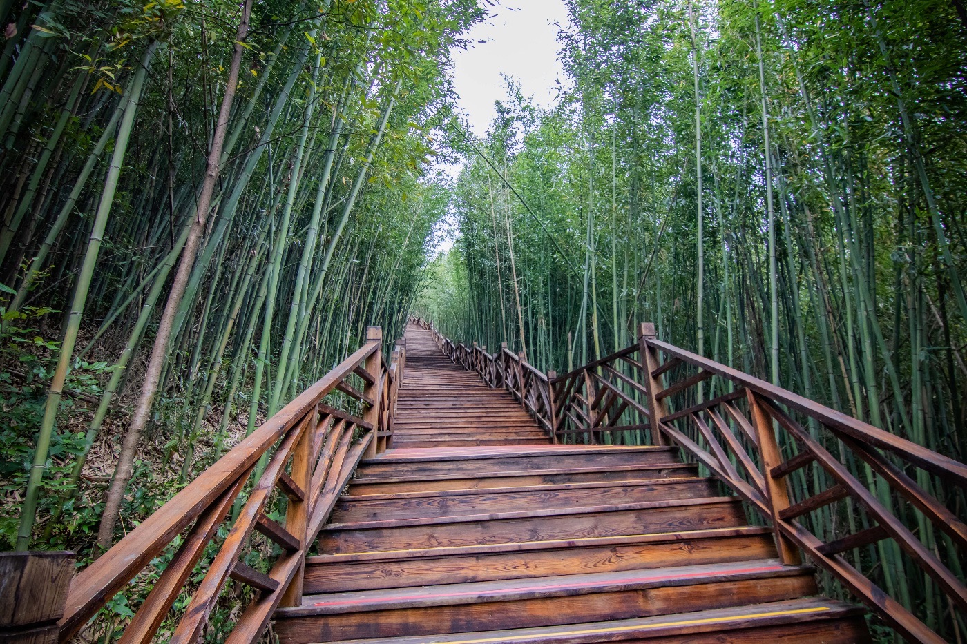 百里竹海风景名胜区旅行图片 1