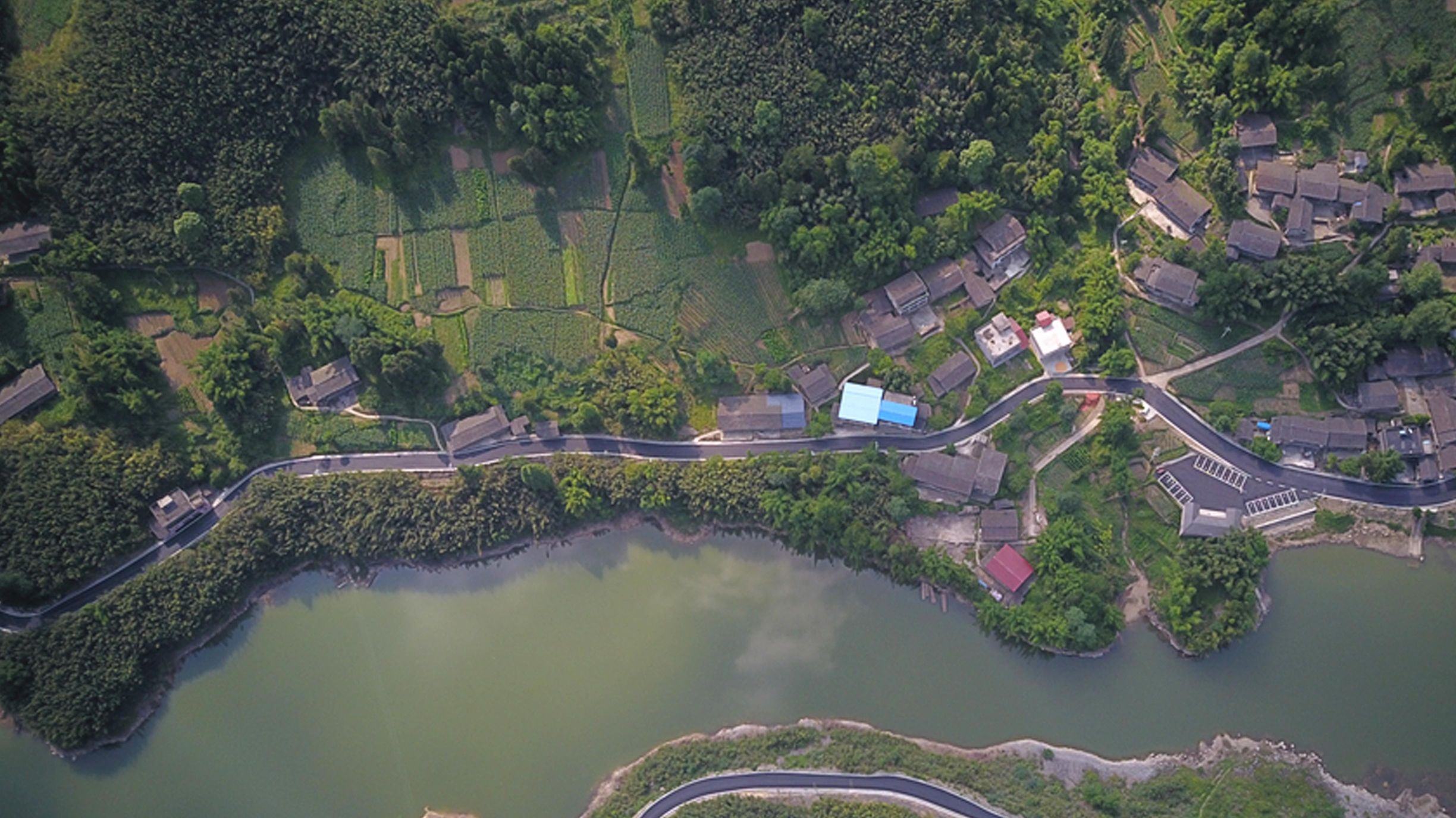 百里竹海风景名胜区旅行图片 1