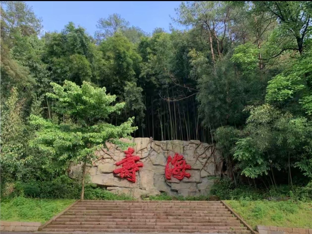 百里竹海风景名胜区旅行图片 3