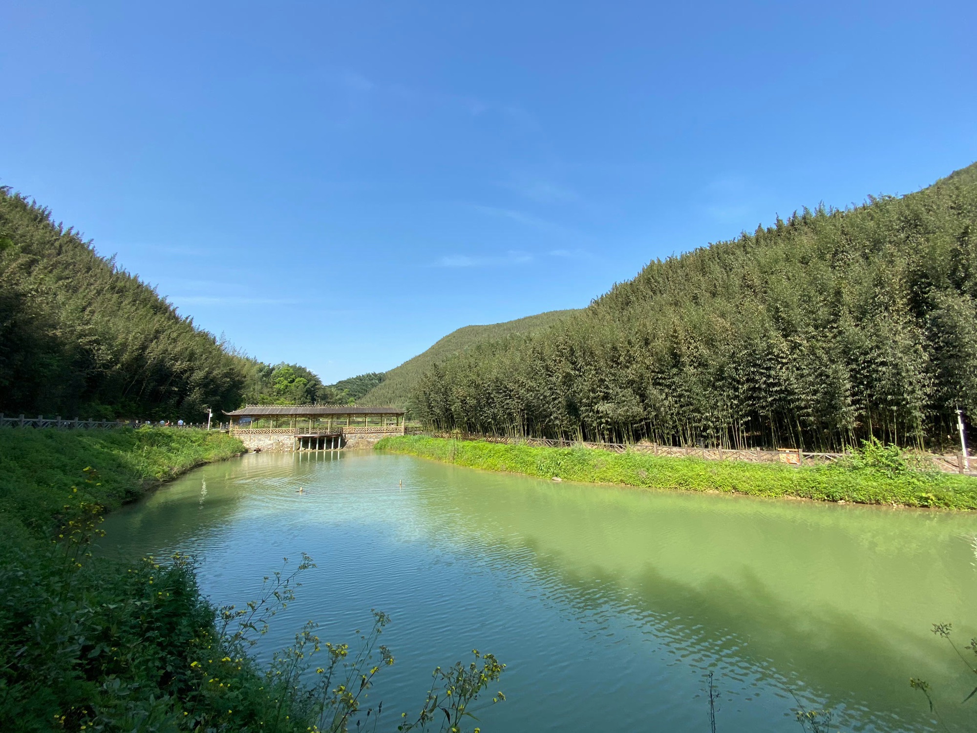 百里竹海风景名胜区旅行图片 3