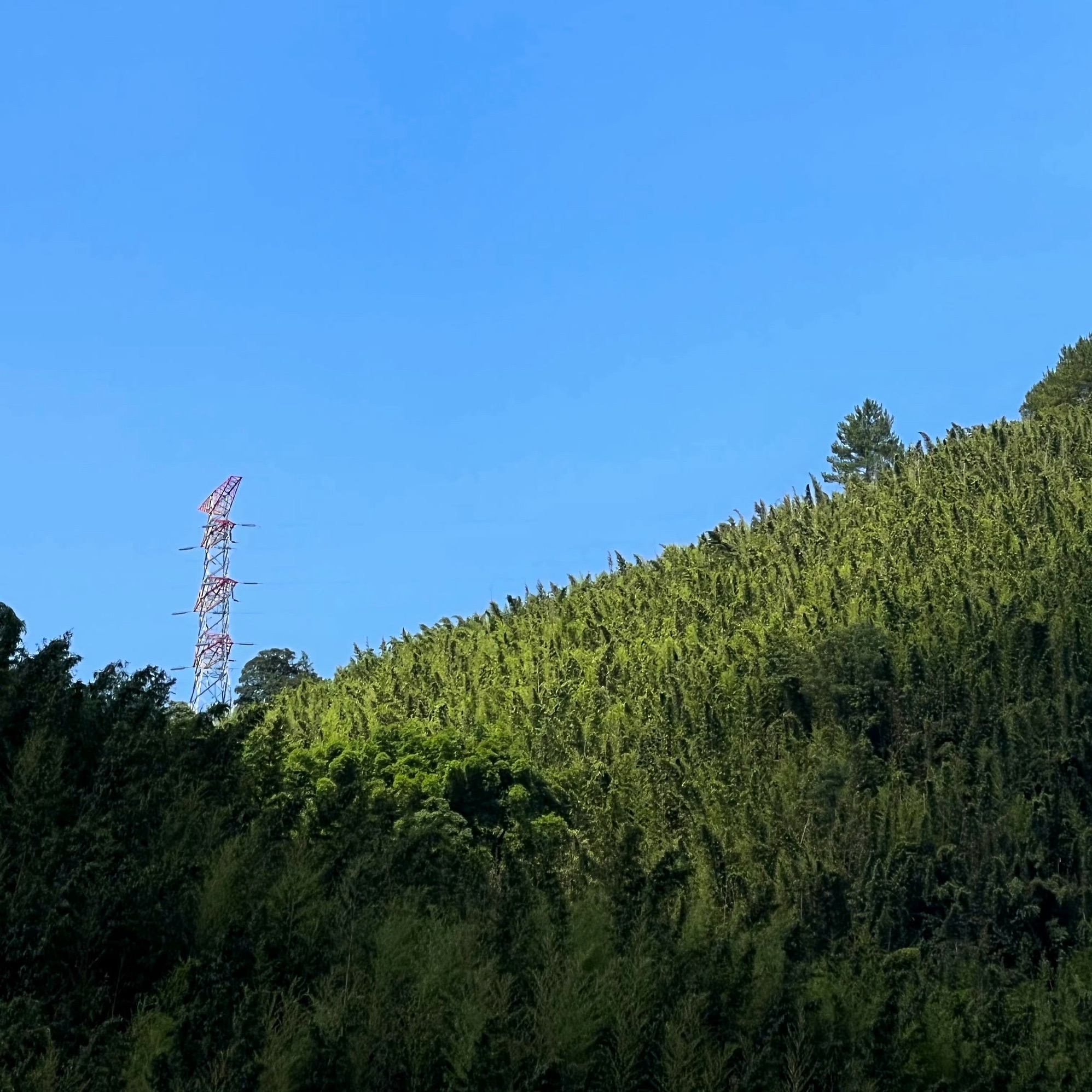 百里竹海风景名胜区旅行图片 2