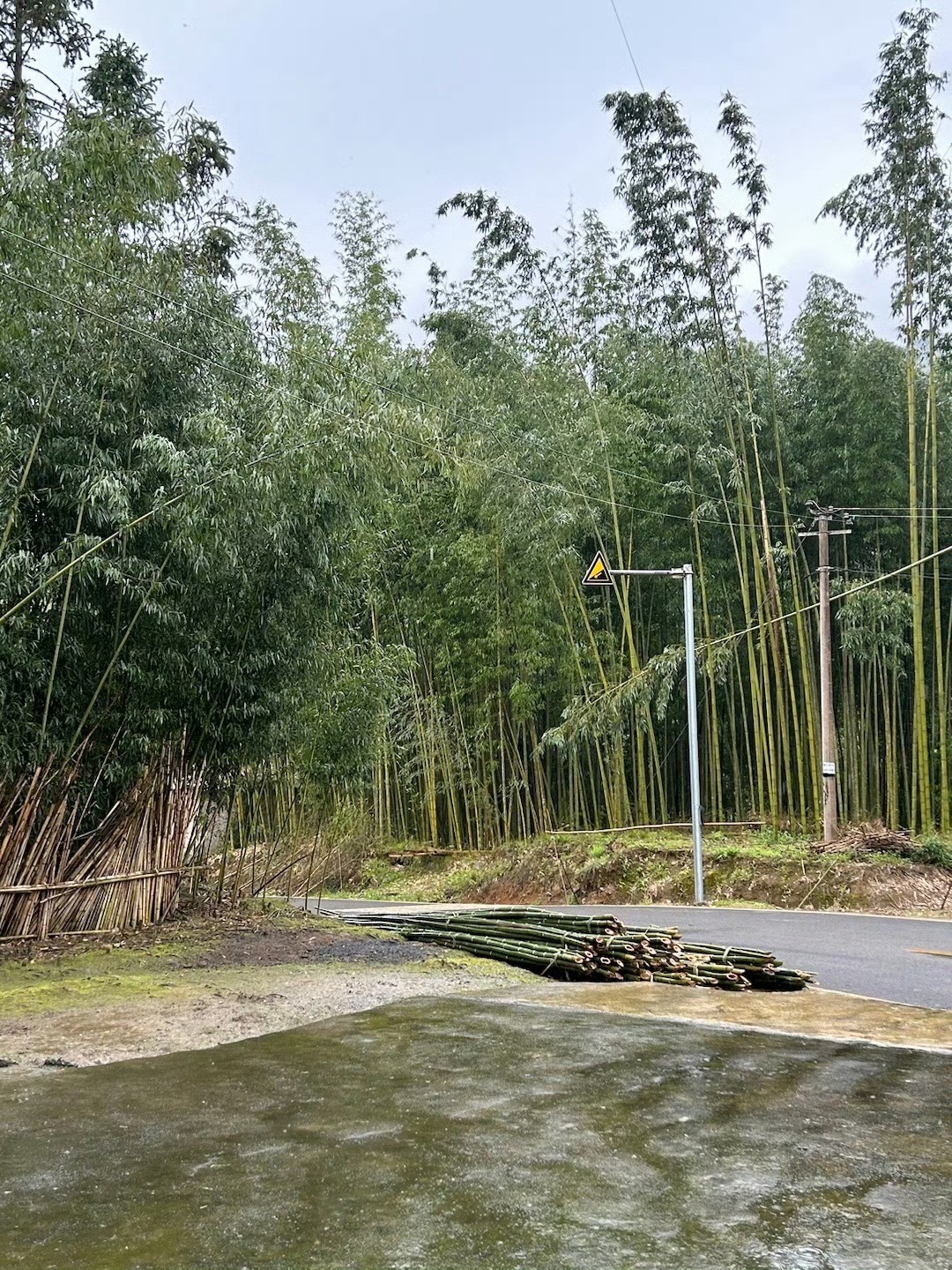 百里竹海风景名胜区旅行图片 3