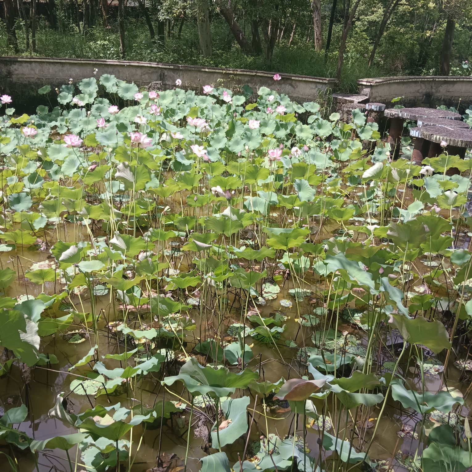 盘古山钨矿公园旅行图片 3