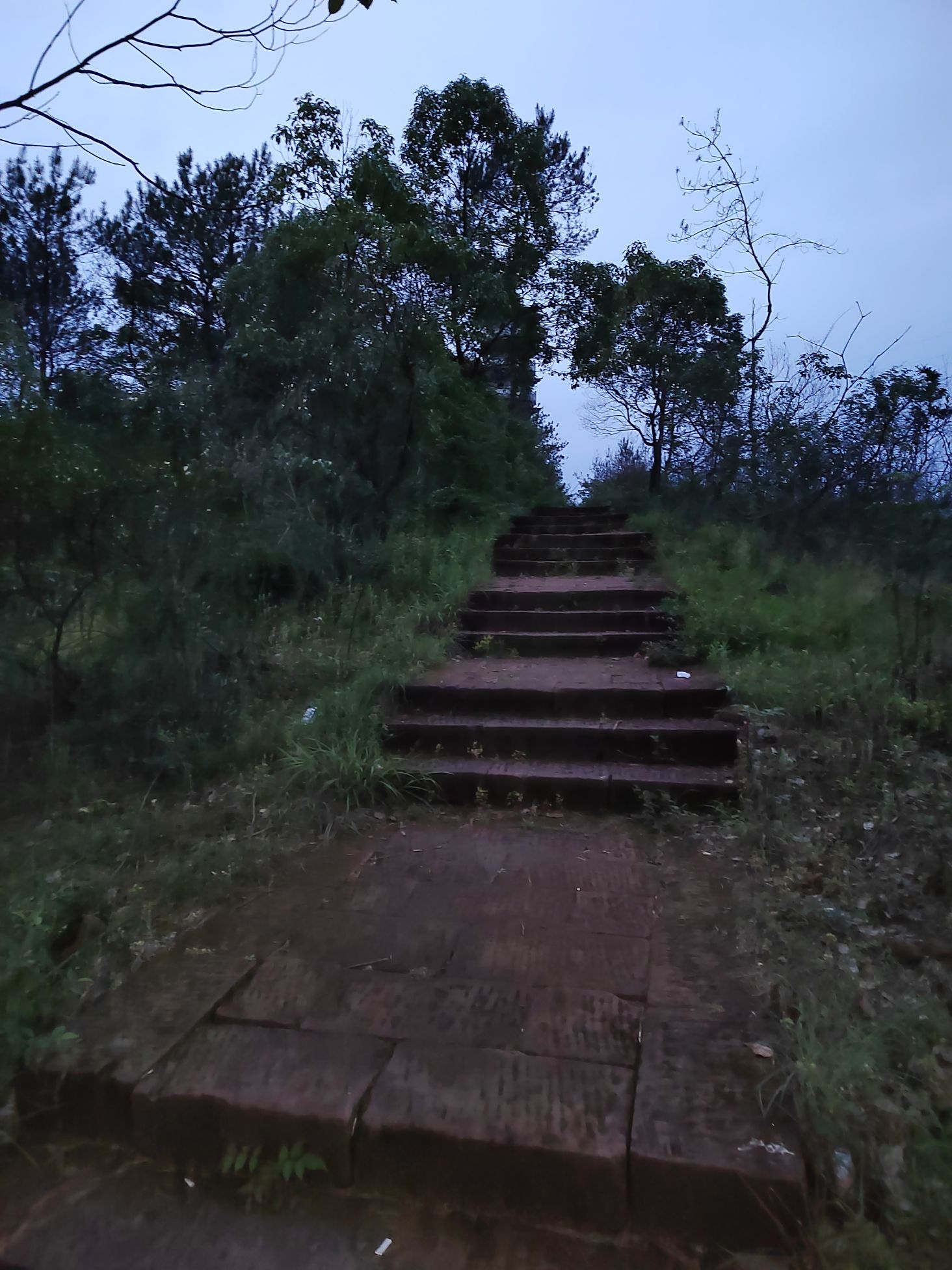 文星塔旅行图片 3