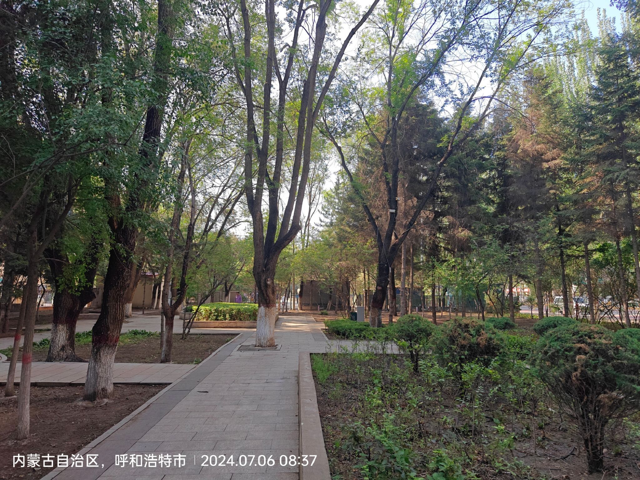 四千米公园旅行图片 2