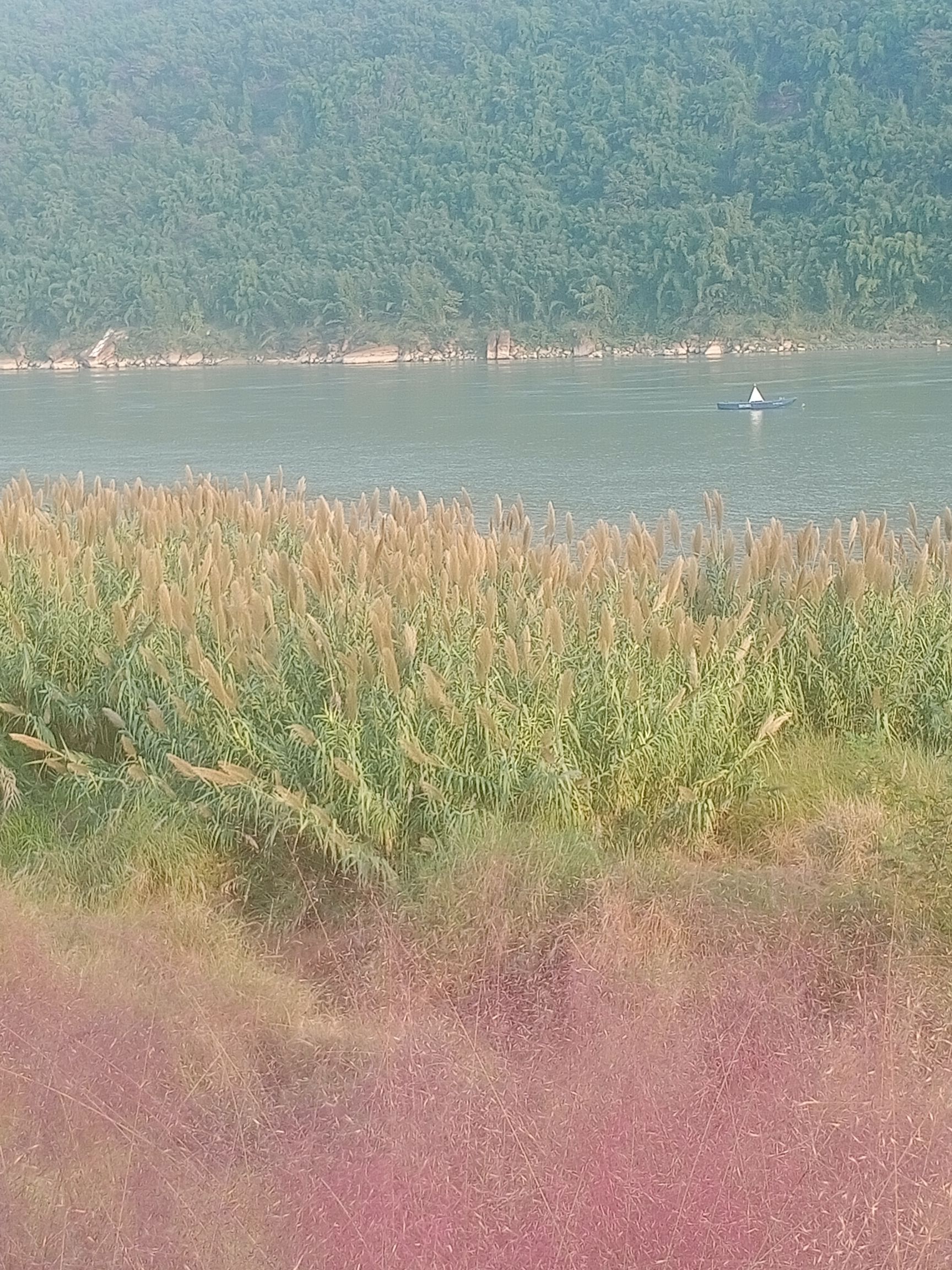 万里长江第一滩旅行图片 3
