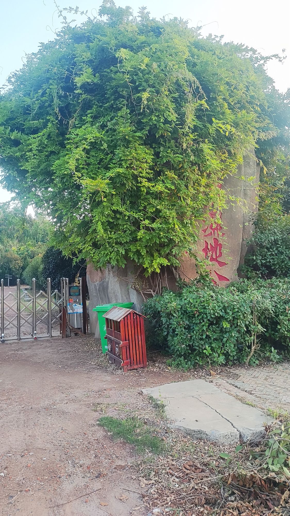 莲蒲湖湿地公园